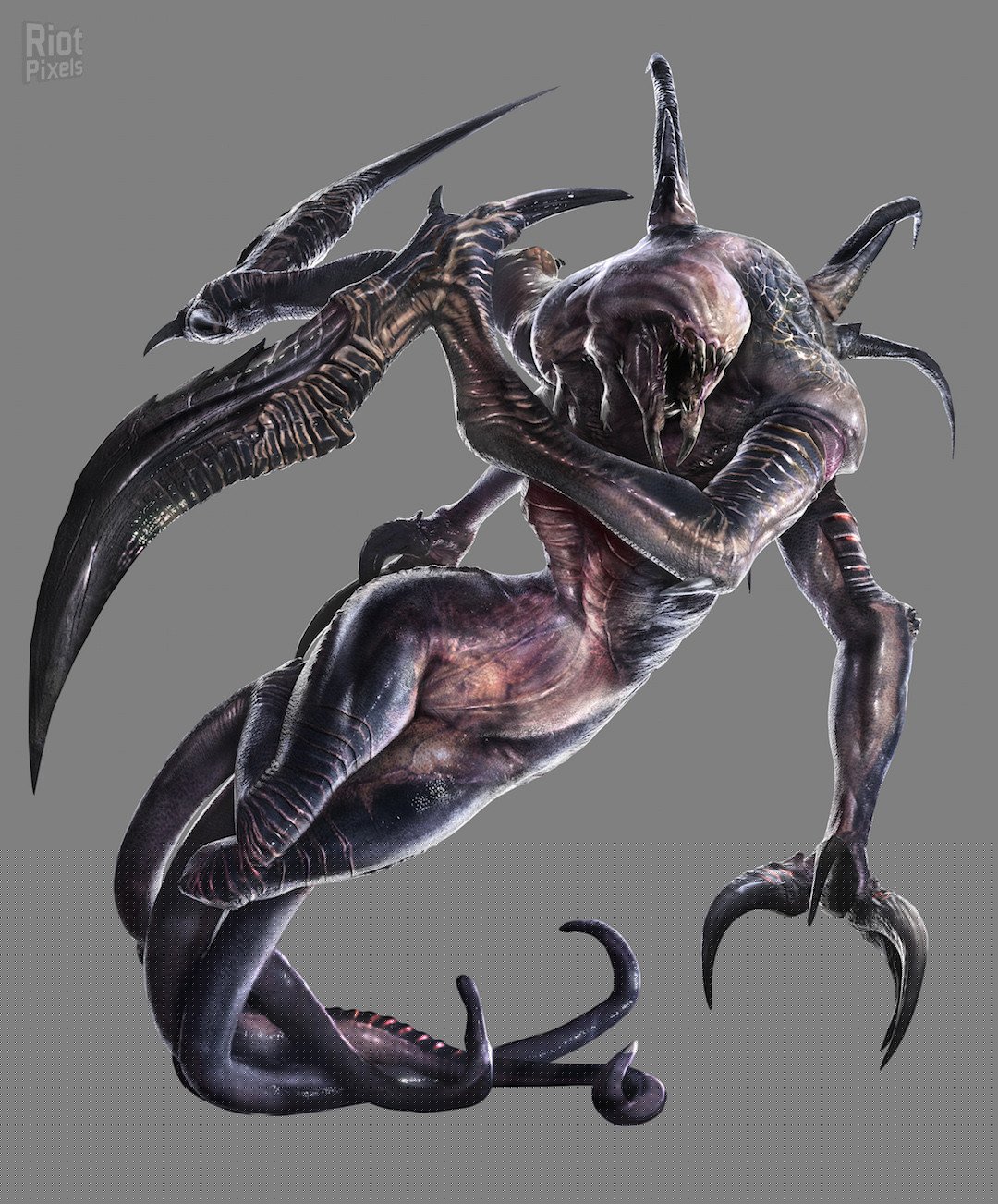[26]-Evolve Download-HohohoGames
