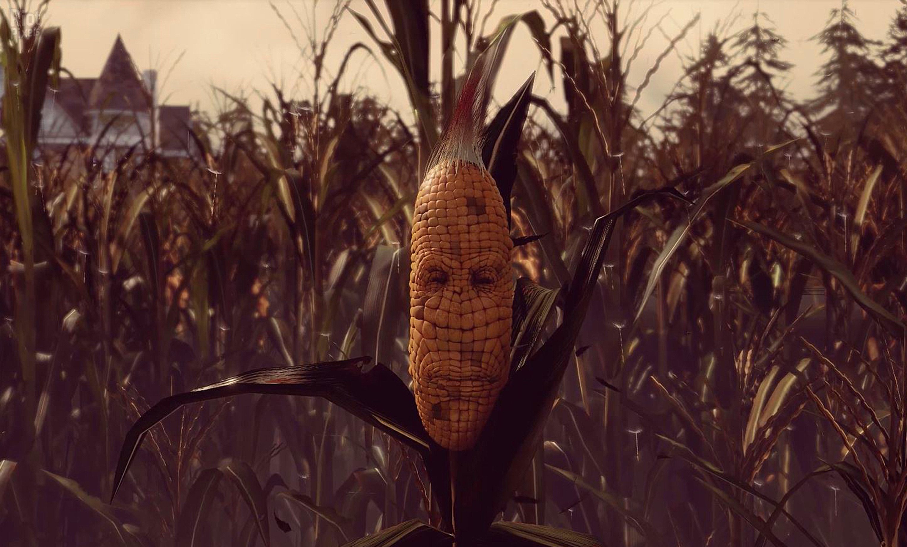 [10]-Maize Download-HohohoGames