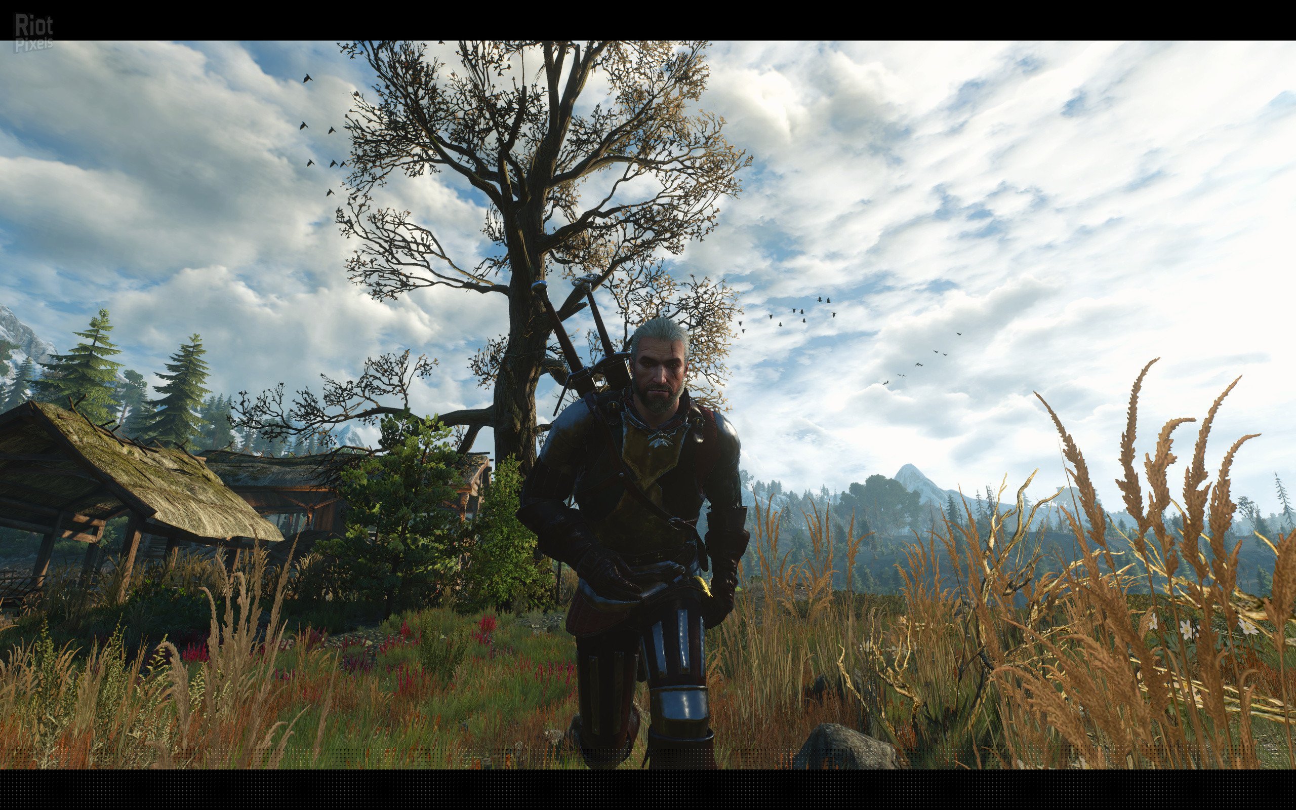 [3]-The Witcher 3: Wild Hunt – Patch from v1.21 to v1.22 Download-HohohoGames