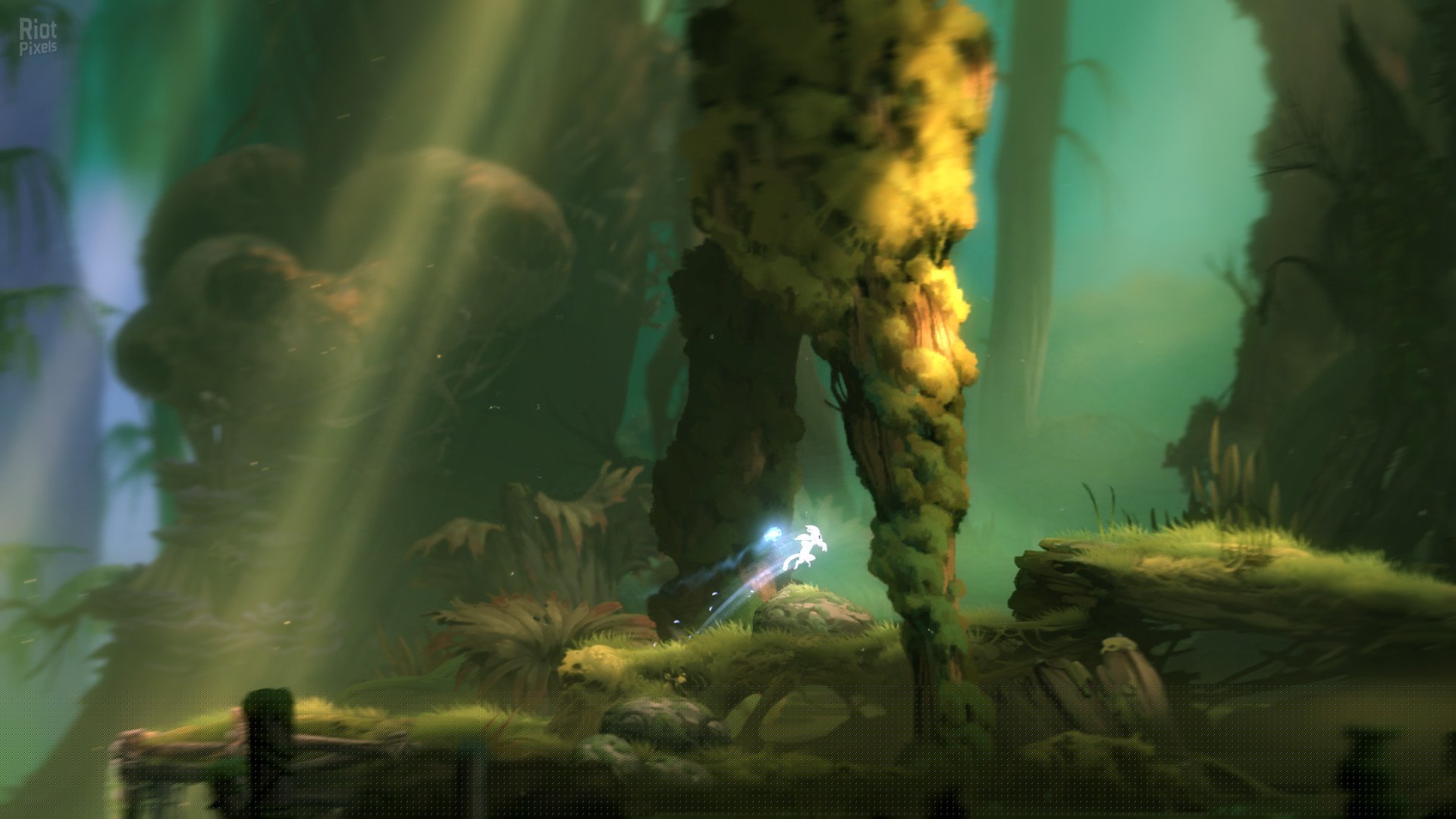 [6]-Ori and the Blind Forest Download-HohohoGames