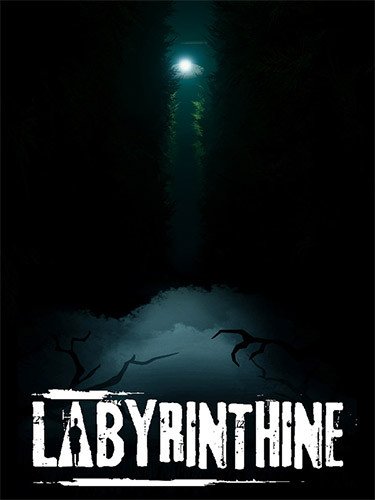 Labyrinthine: Supporter Edition, Patch 06/12/24 + DLC Download-HohohoGames