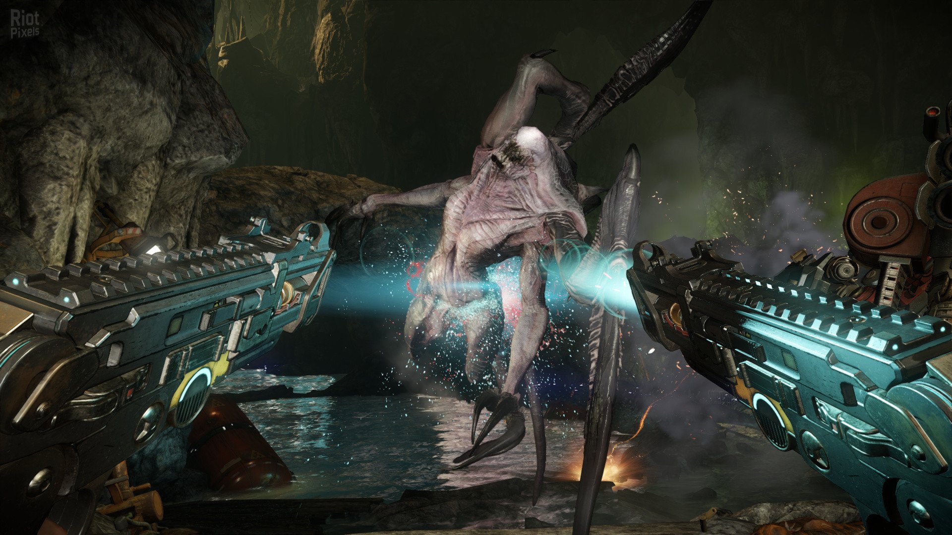 [13]-Evolve Download-HohohoGames