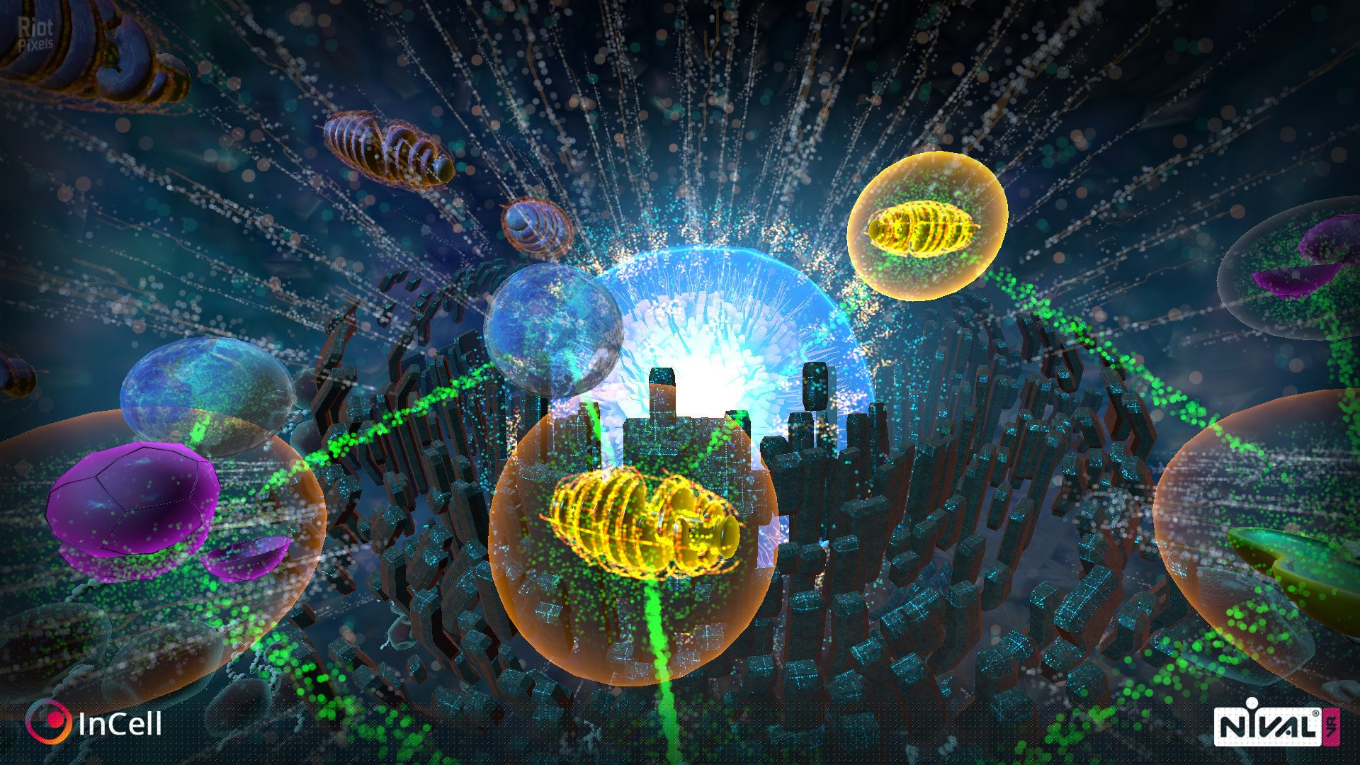 [5]-InCell / InCell VR Download-HohohoGames