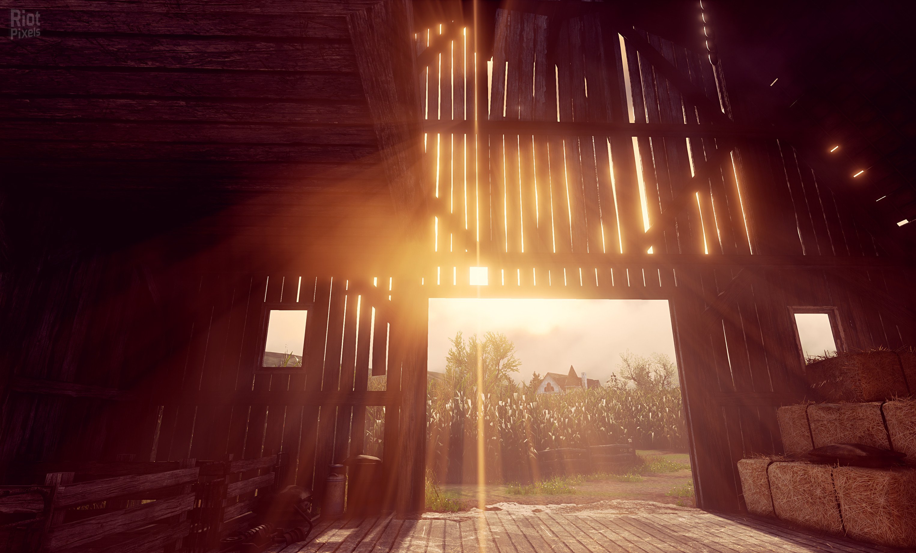[9]-Maize Download-HohohoGames
