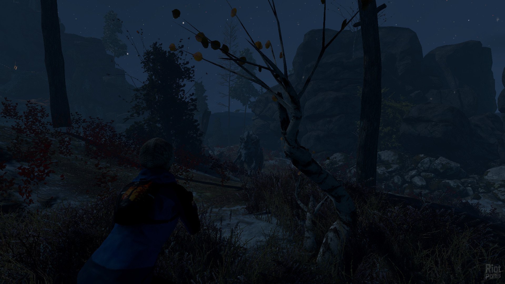 [13]-Through the Woods + HotFix Download-HohohoGames