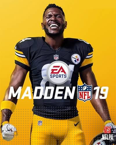 Madden NFL 19: Hall of Fame Edition Download-HohohoGames