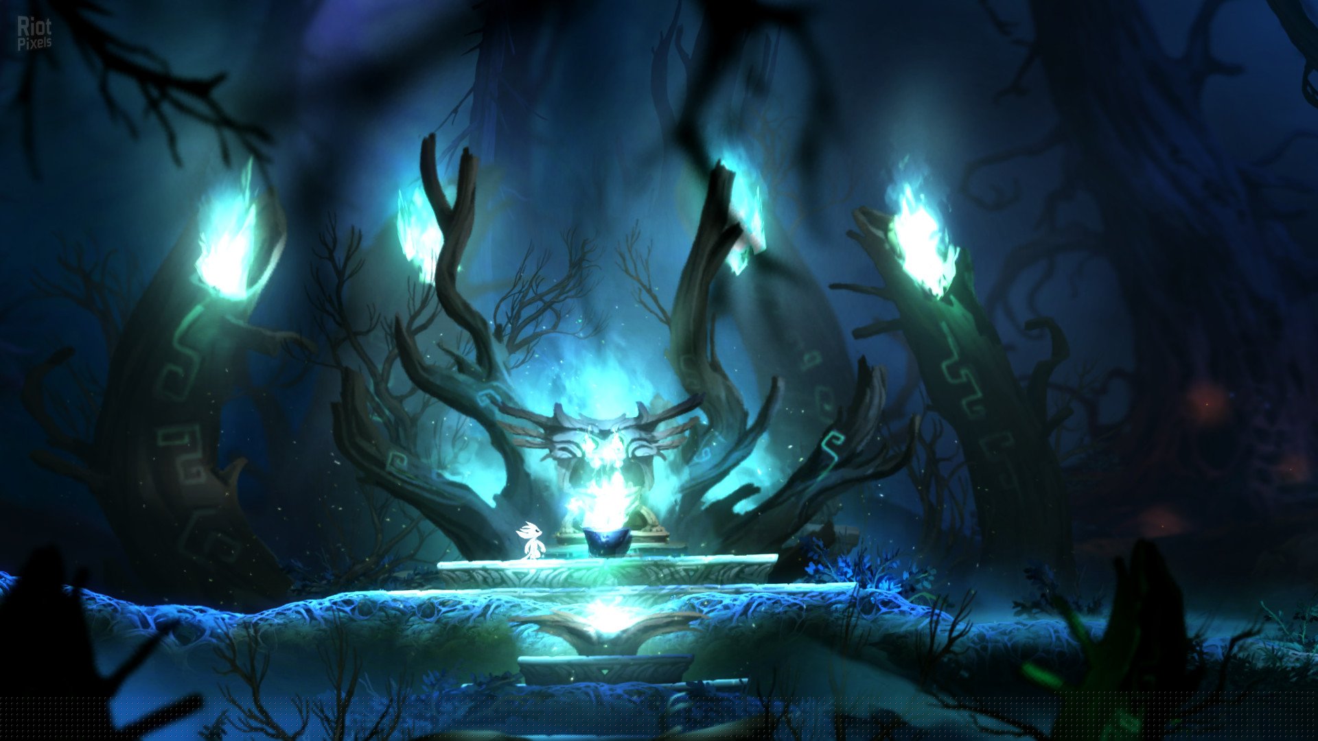 [12]-Ori and the Blind Forest: Definitive Edition Download-HohohoGames