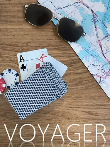 Voyager Download-HohohoGames