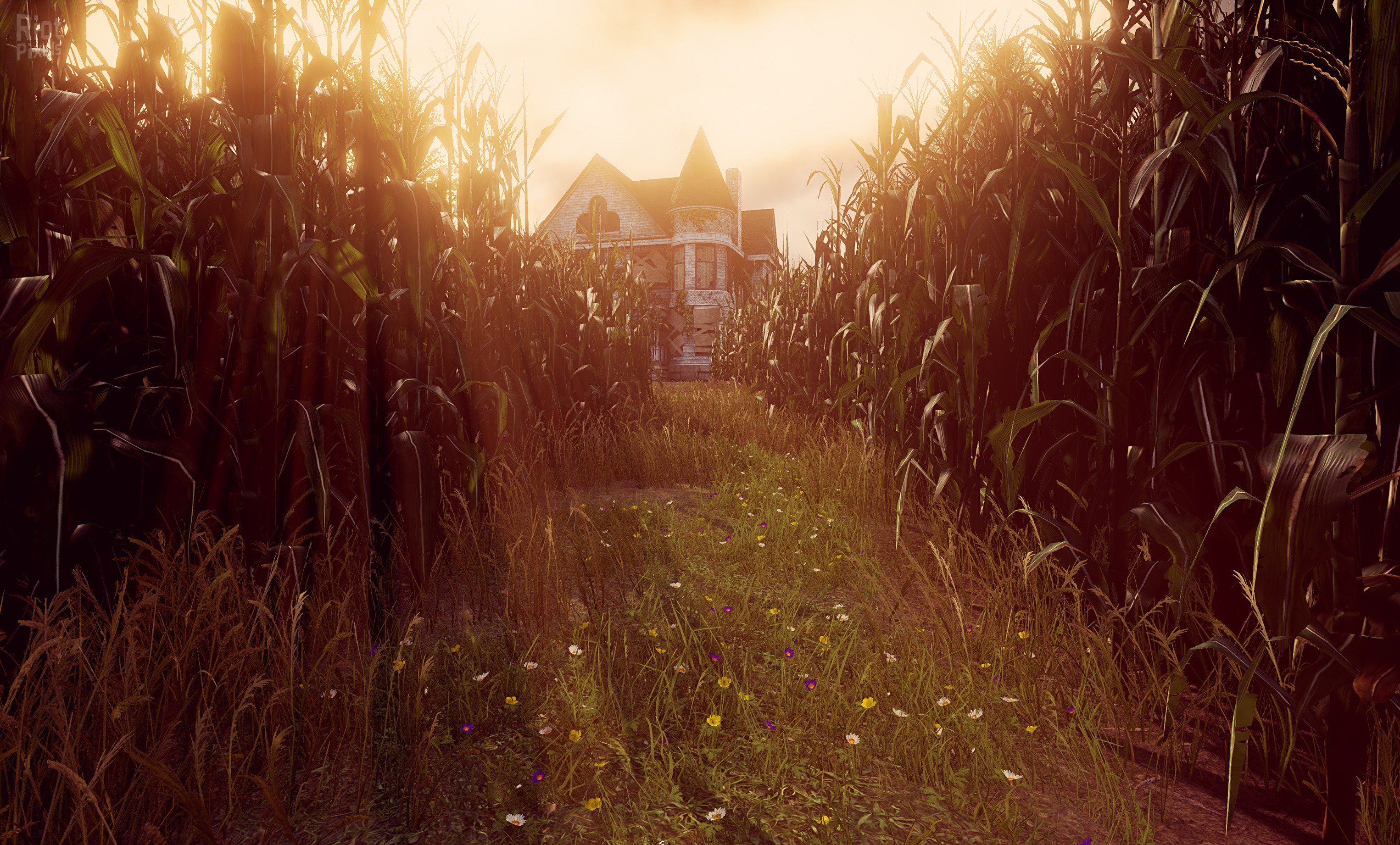 [13]-Maize Download-HohohoGames