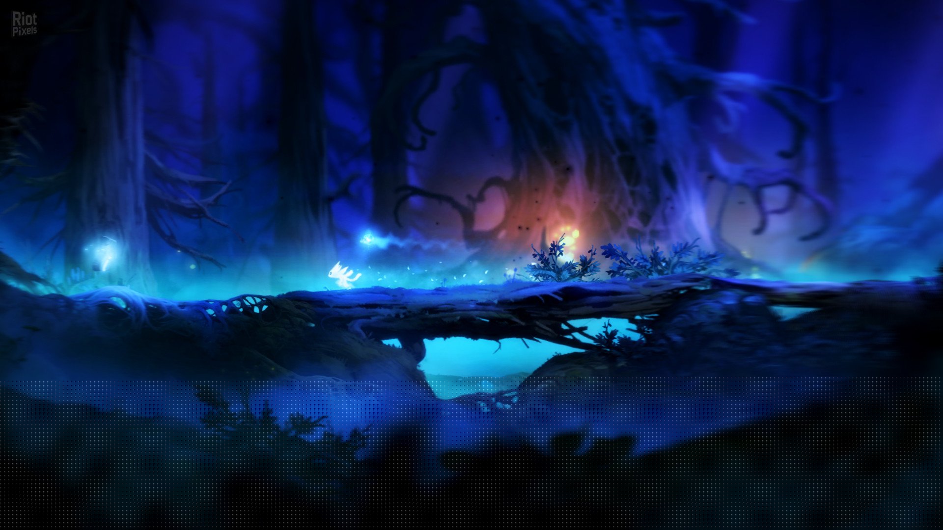 [11]-Ori and the Blind Forest: Definitive Edition Download-HohohoGames