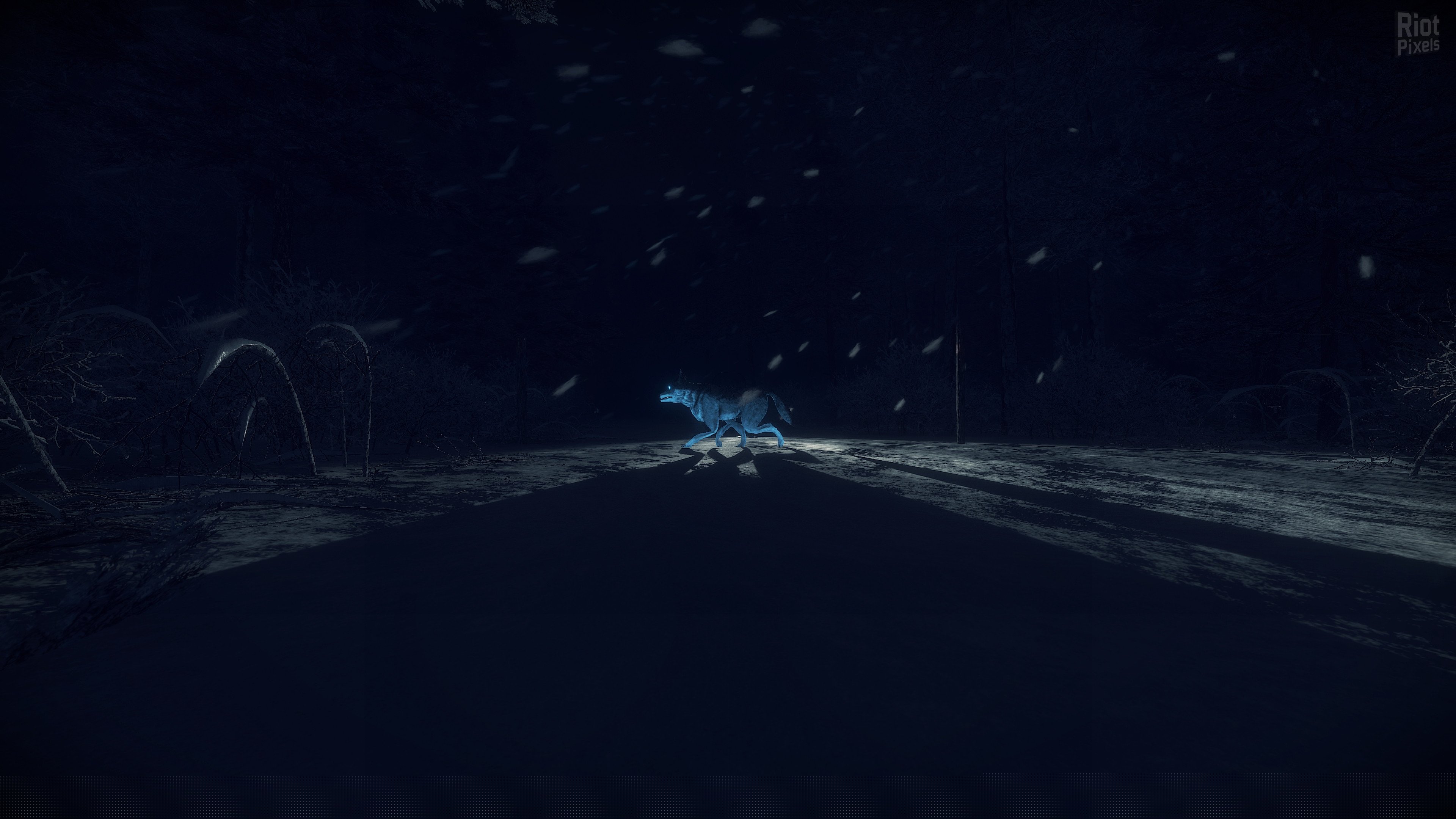 [5]-Kona Download-HohohoGames
