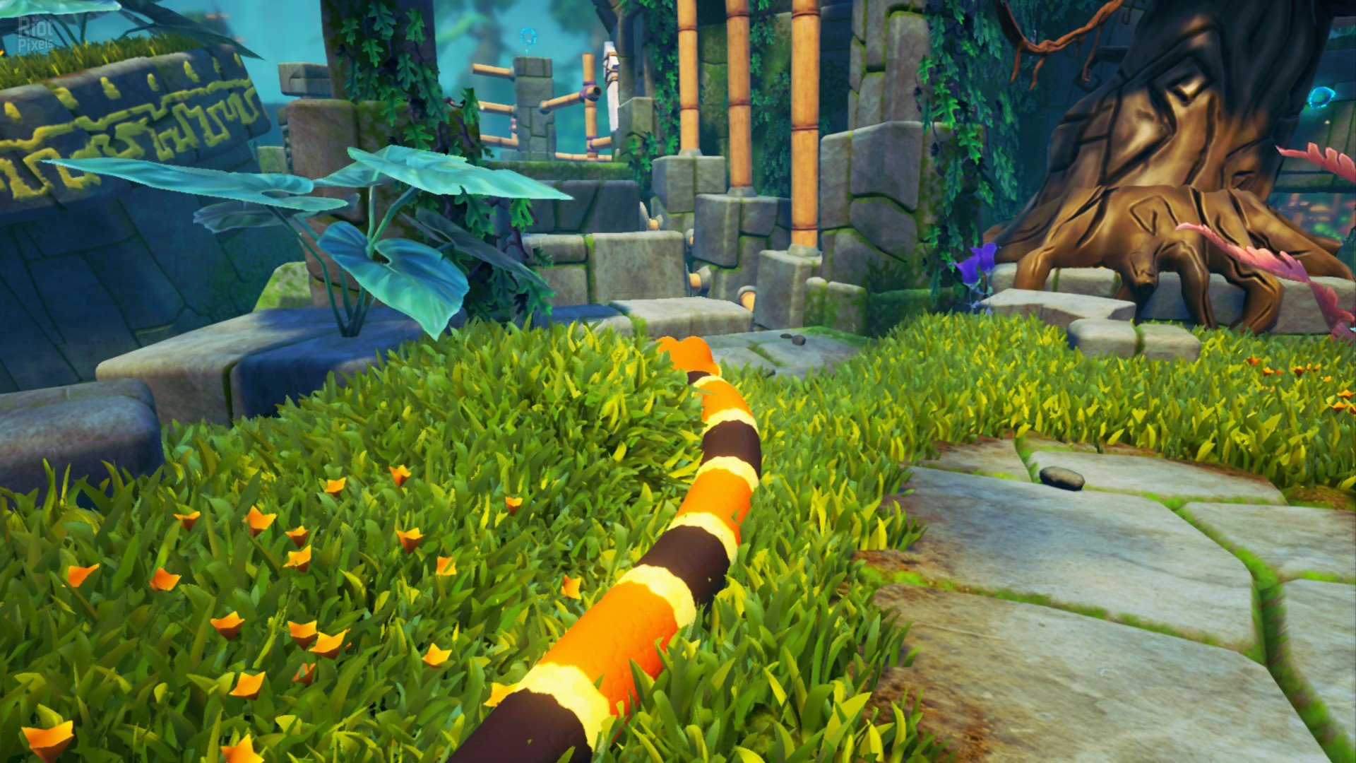 [5]-Snake Pass Download-HohohoGames