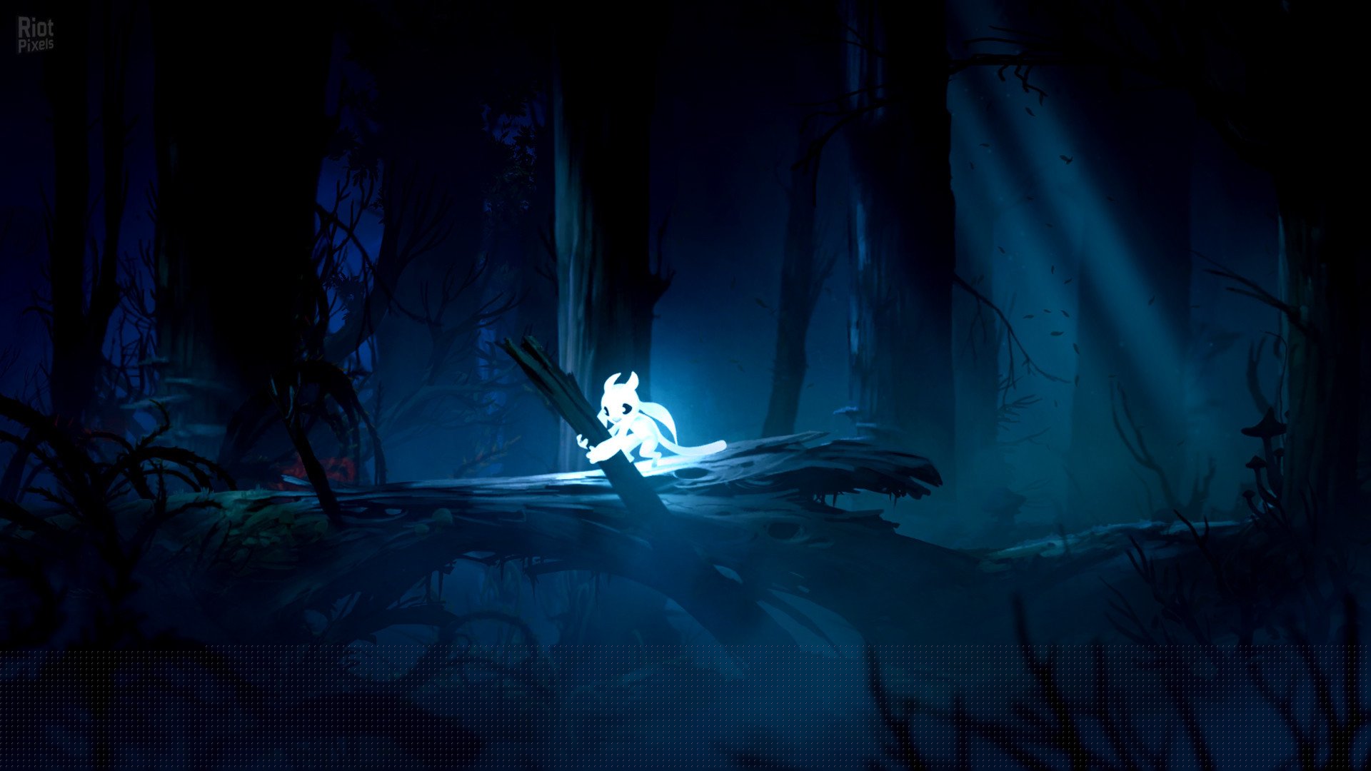[2]-Ori and the Blind Forest: Definitive Edition Download-HohohoGames