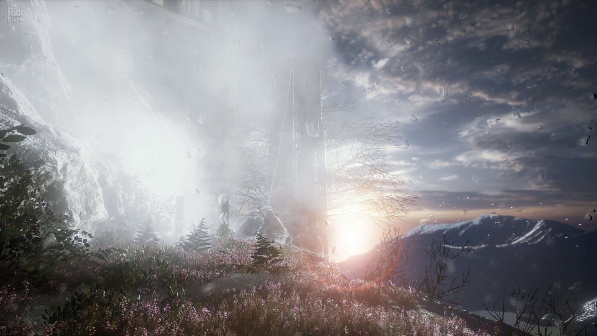 [15]-The Butterfly Sign – v1.1.2/Update 5 Download-HohohoGames
