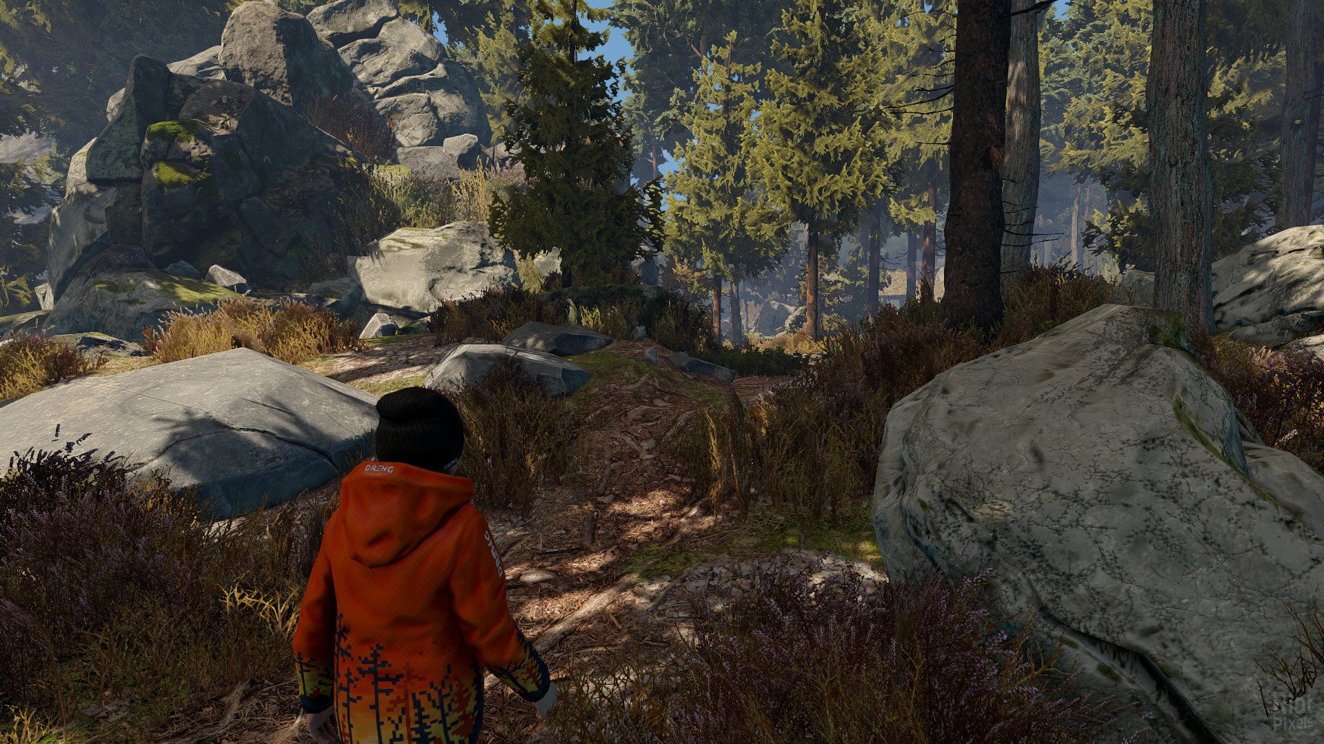 [2]-Through the Woods + HotFix Download-HohohoGames