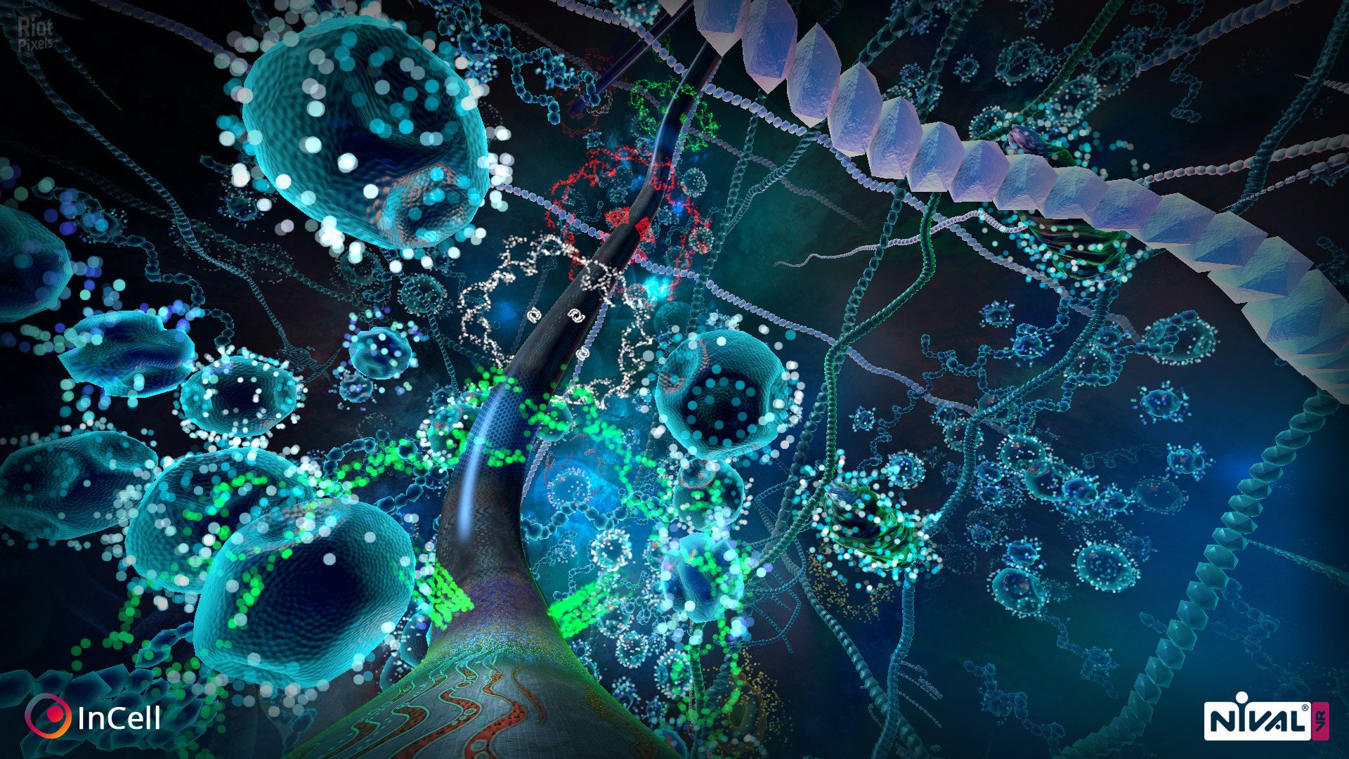 [3]-InCell / InCell VR Download-HohohoGames