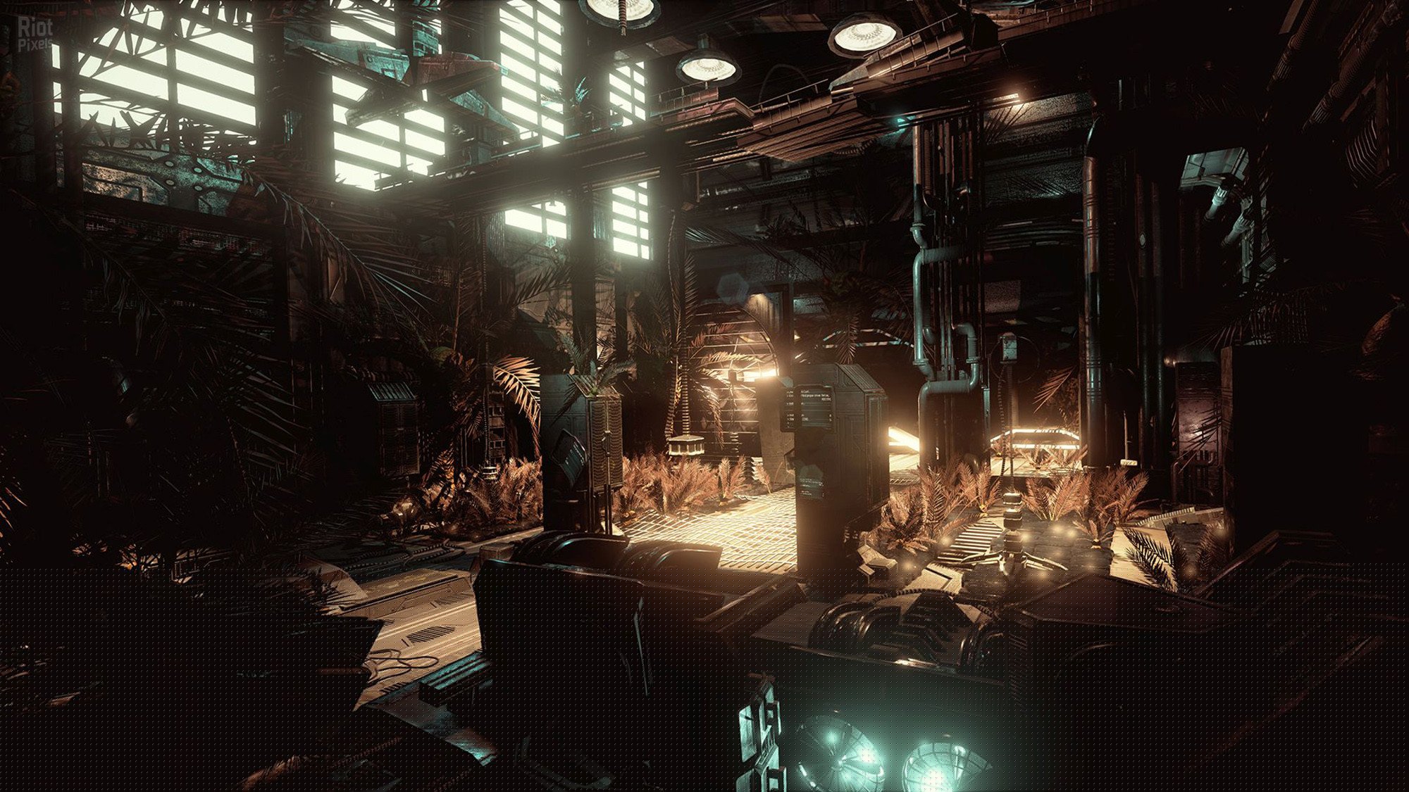 [12]-Alice VR – v.1.2.4.1 Download-HohohoGames