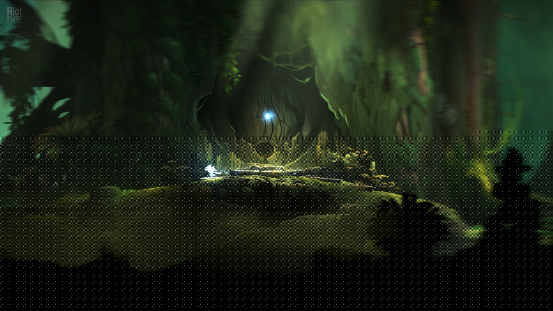 [9]-Ori and the Blind Forest Download-HohohoGames