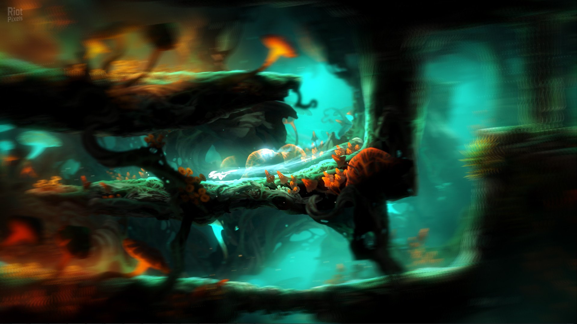 [5]-Ori and the Blind Forest: Definitive Edition Download-HohohoGames