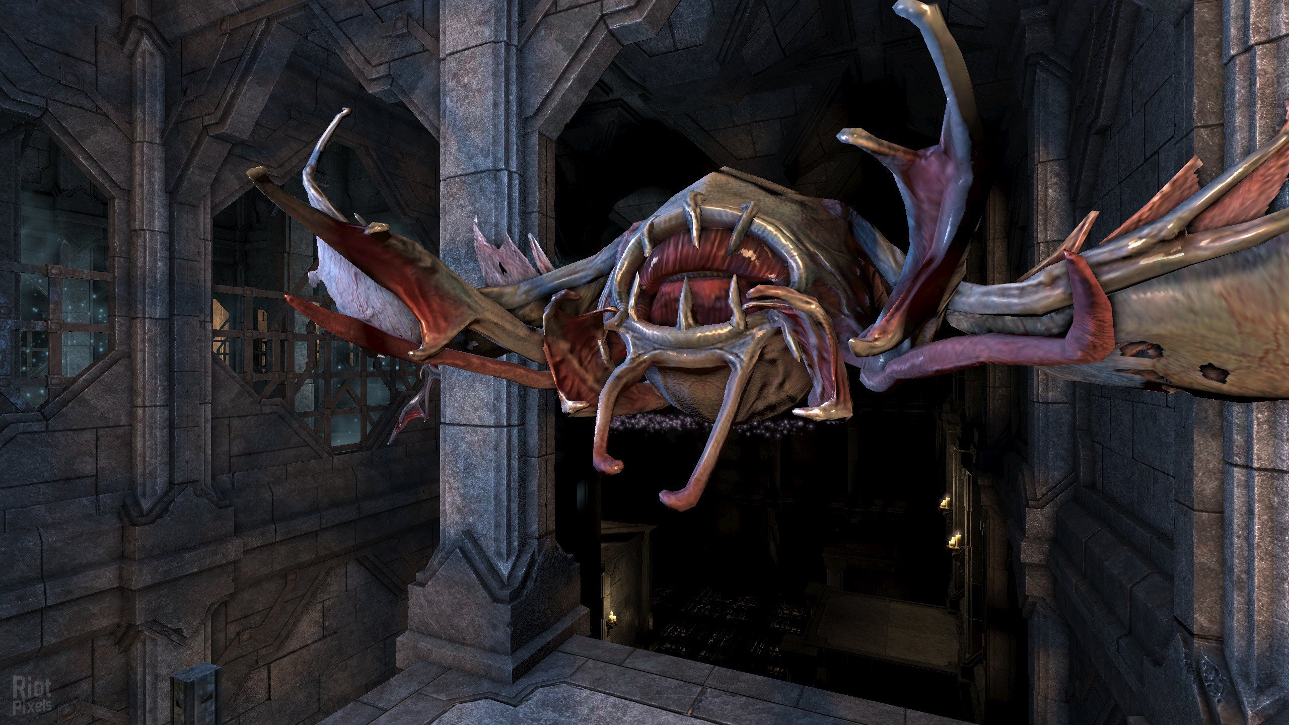 [14]-Legend of Grimrock 2 v2.24 + Bonus Stuff Download-HohohoGames
