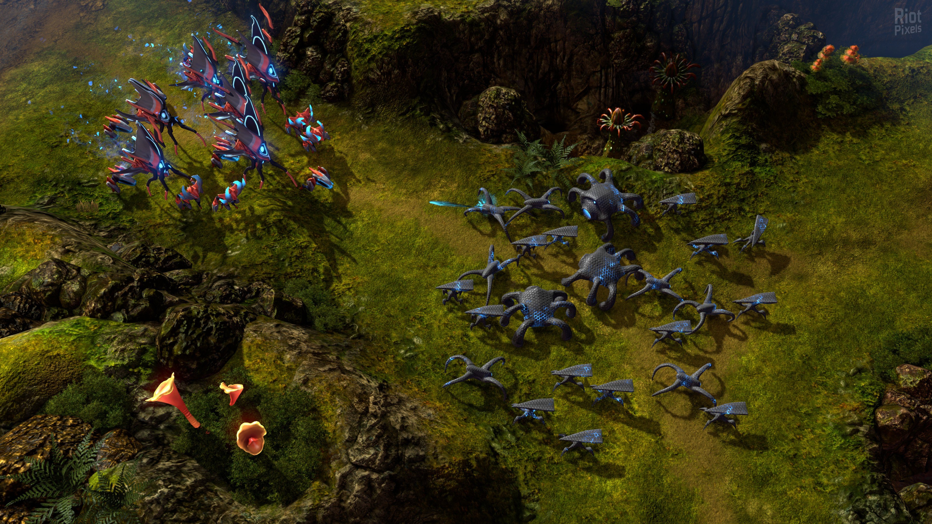 [10]-Grey Goo: Definitive Edition Download-HohohoGames