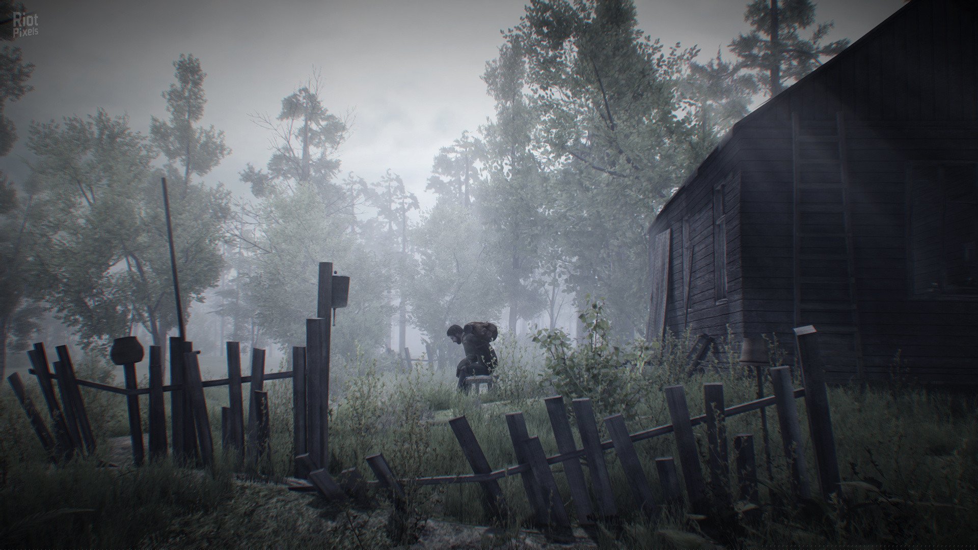 [10]-35MM v1.1 Download-HohohoGames