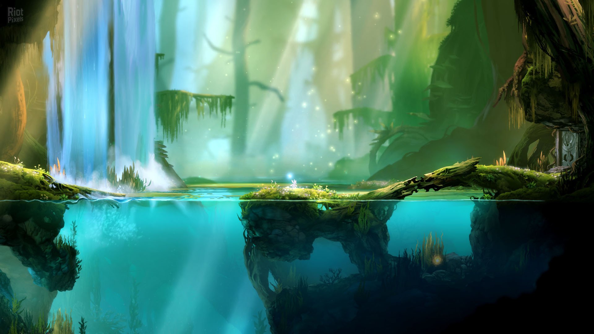 [10]-Ori and the Blind Forest: Definitive Edition Download-HohohoGames