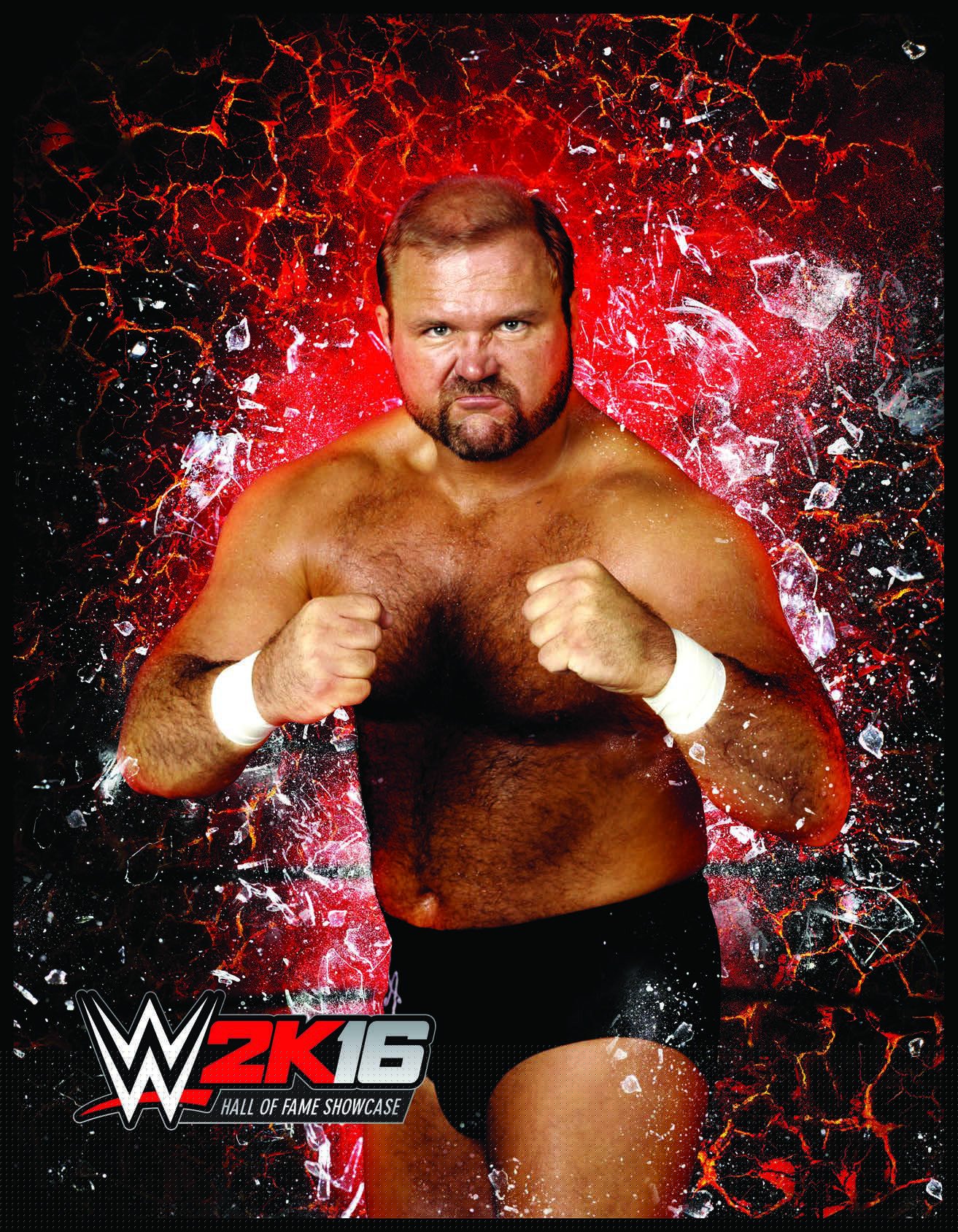 [29]-WWE 2K16 + All DLCs Download-HohohoGames