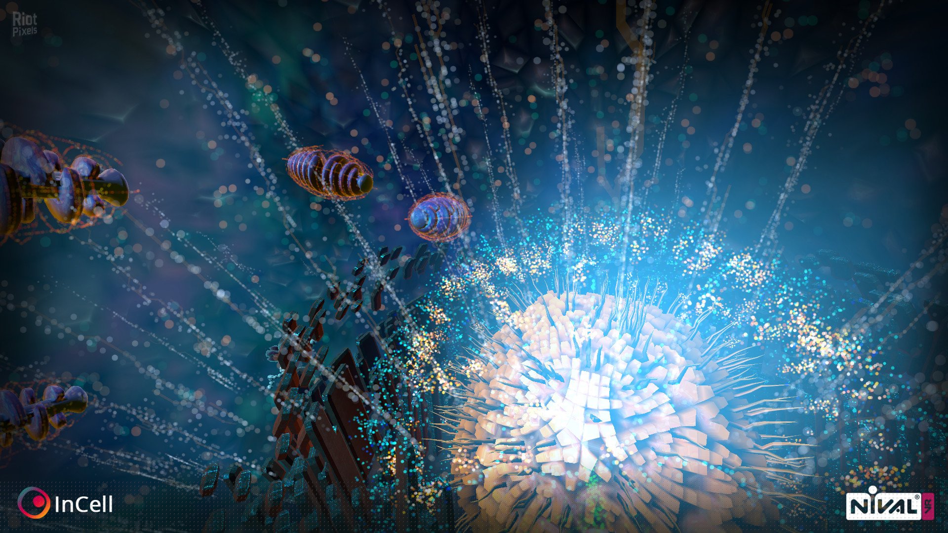 [11]-InCell / InCell VR Download-HohohoGames