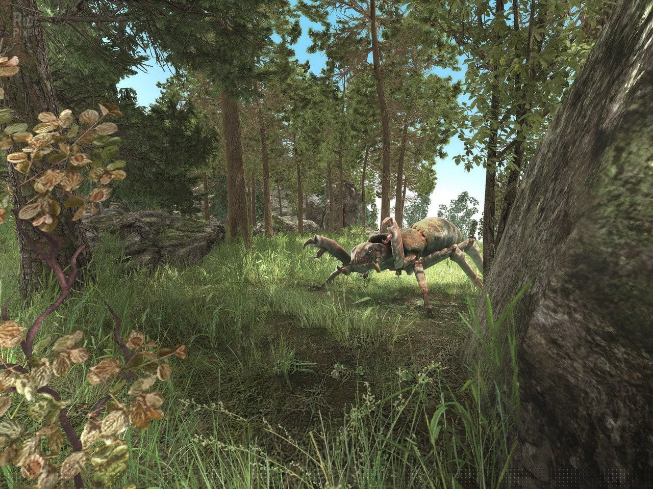 [6]-ArcaniA: Gold Edition Download-HohohoGames