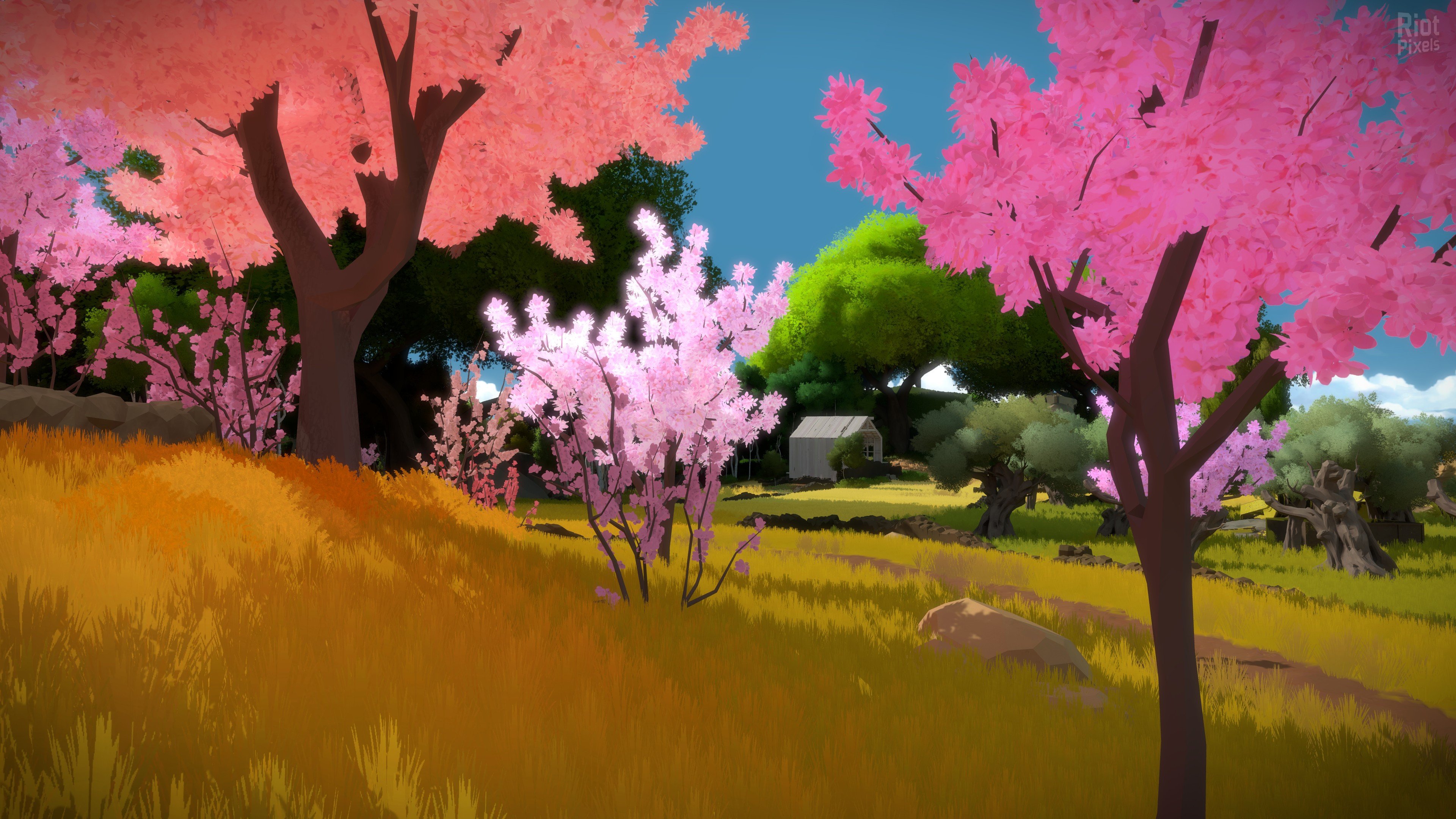 [13]-The Witness Download-HohohoGames