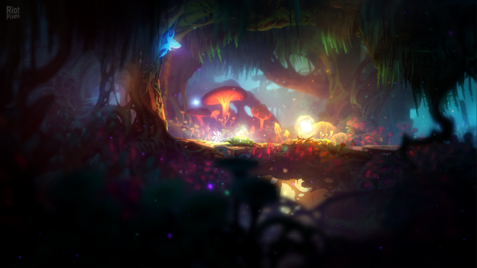 [8]-Ori and the Blind Forest Download-HohohoGames