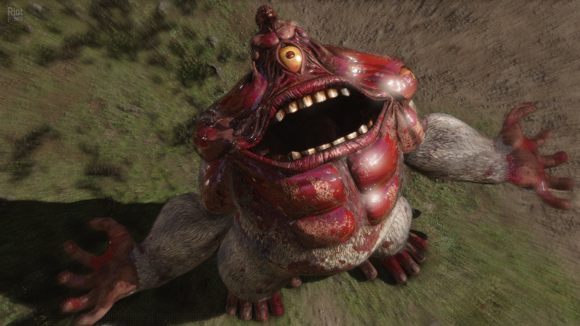 [14]-Berserk and the Band of the Hawk + 6 DLCs Download-HohohoGames
