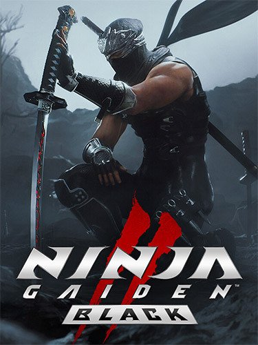 NINJA GAIDEN 2 Black, v1.0.5.0 Download-HohohoGames