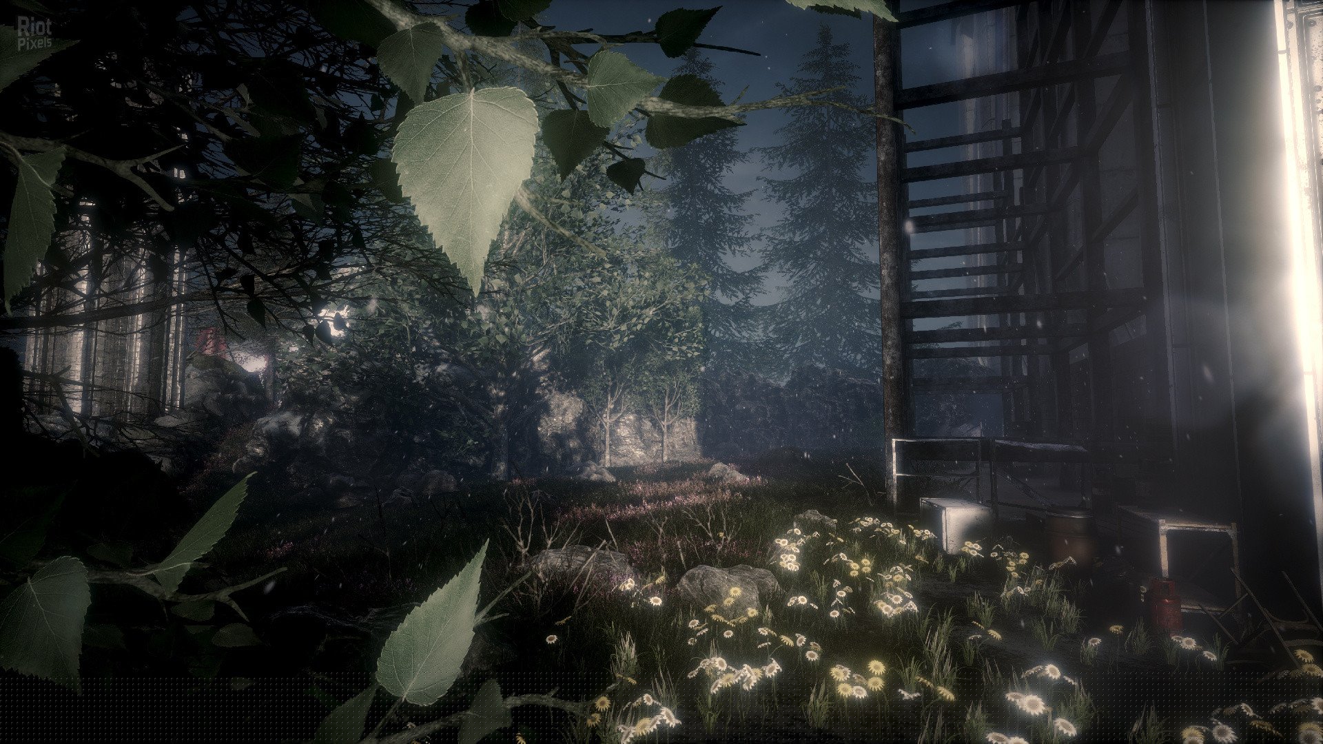 [16]-The Butterfly Sign – v1.1.2/Update 5 Download-HohohoGames