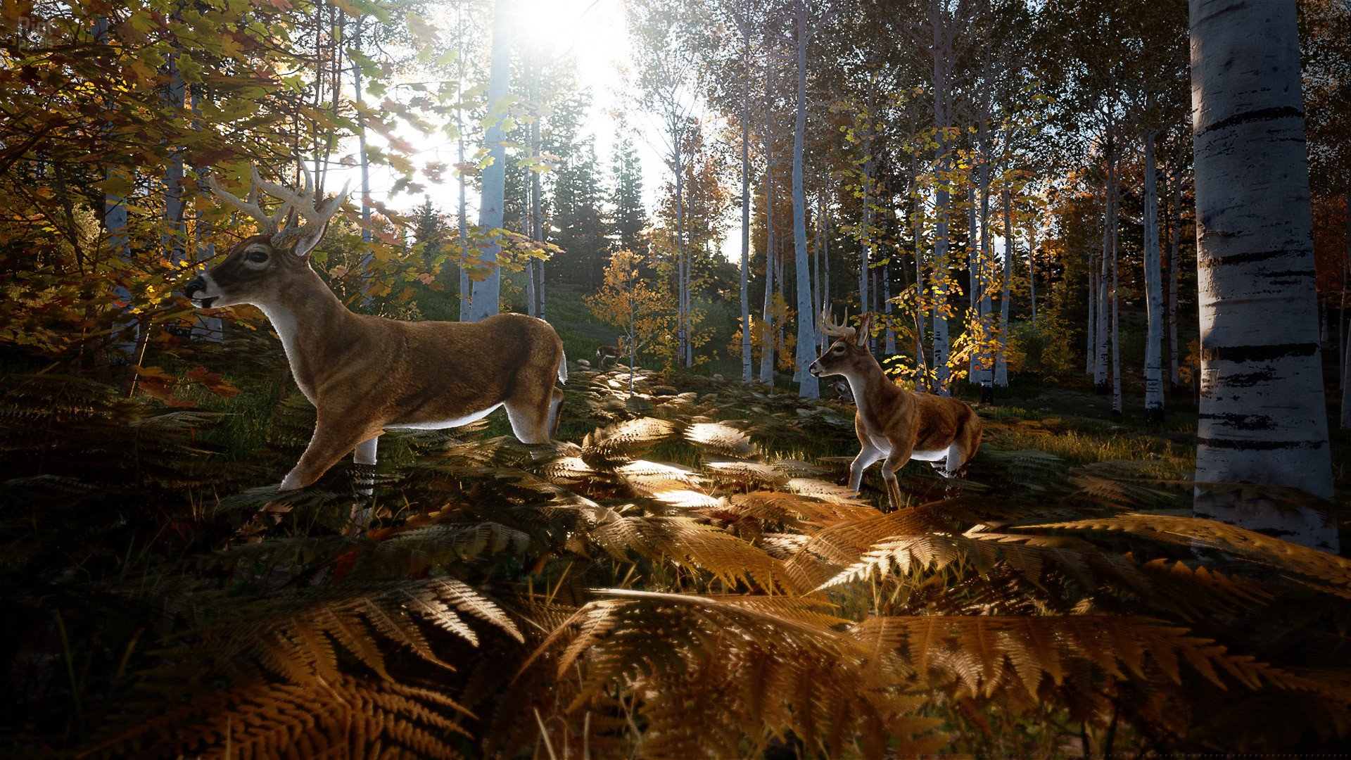 [6]-Hunting Simulator 2: Elite Edition – v1.0.0.311.66949 + 4 DLCs Download-HohohoGames