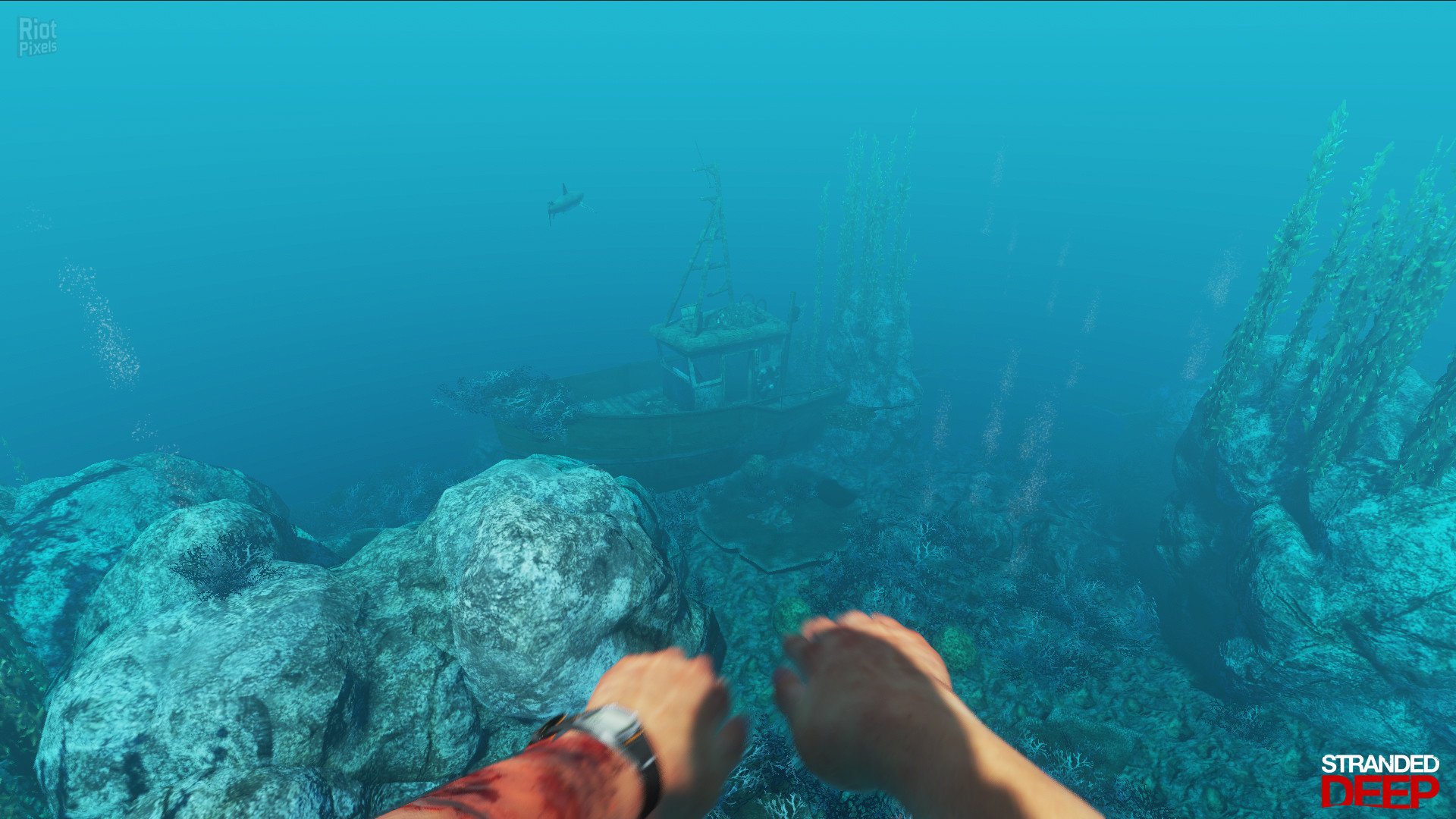 [7]-Stranded Deep – v1.0.6.0.17 Release Download-HohohoGames