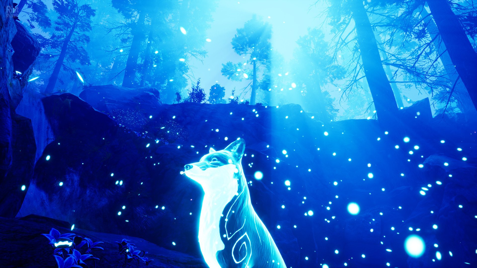 [4]-Spirit of the North – Build 6112756 (Enhanced Edition Update) Download-HohohoGames