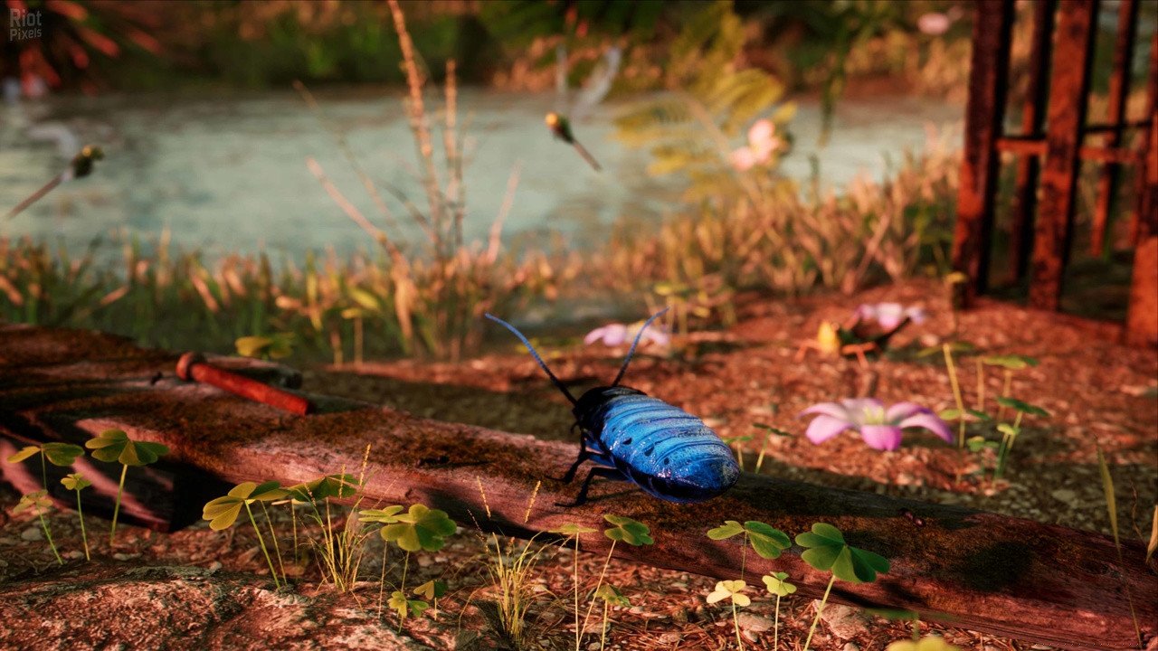 [5]-AWAY: The Survival Series + Windows 7 Fix Download-HohohoGames