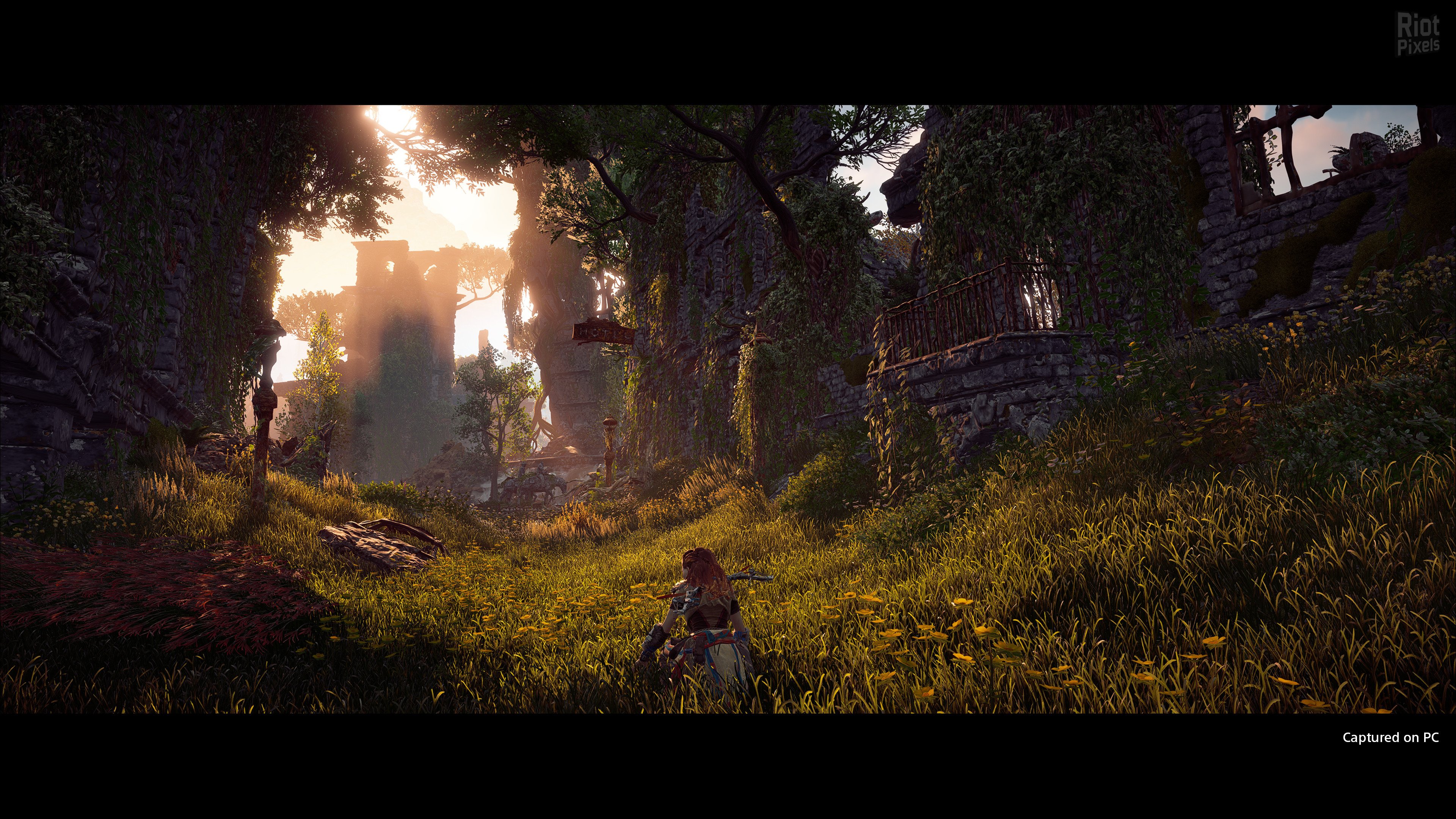 [5]-Horizon: Zero Dawn – Complete Edition – v1.11.2 (GOG/Epic/Steam) + VR Mod + Bonus OST Download-HohohoGames