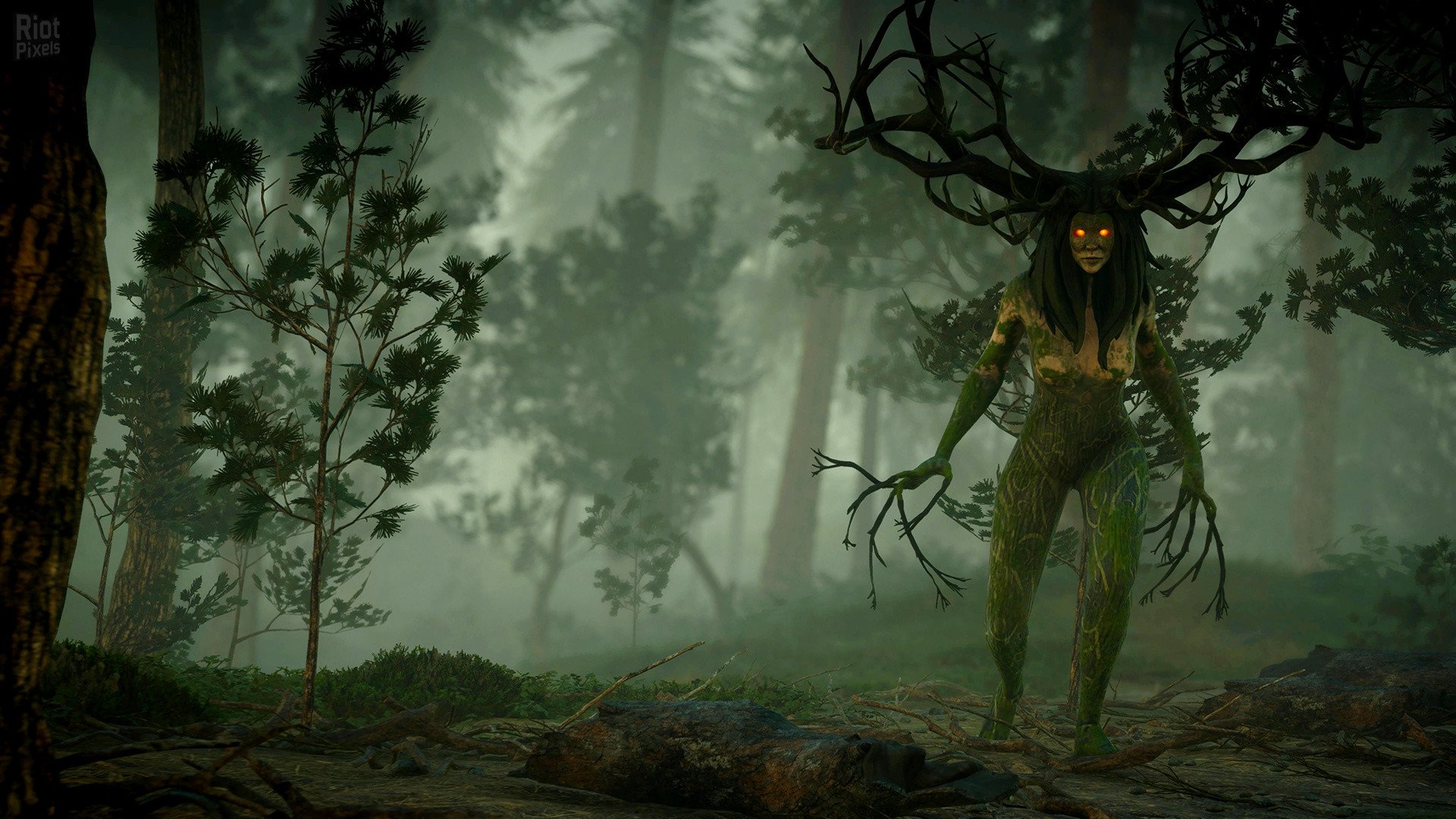 [2]-Ravenbound – v1.1 + 2 DLCs Download-HohohoGames