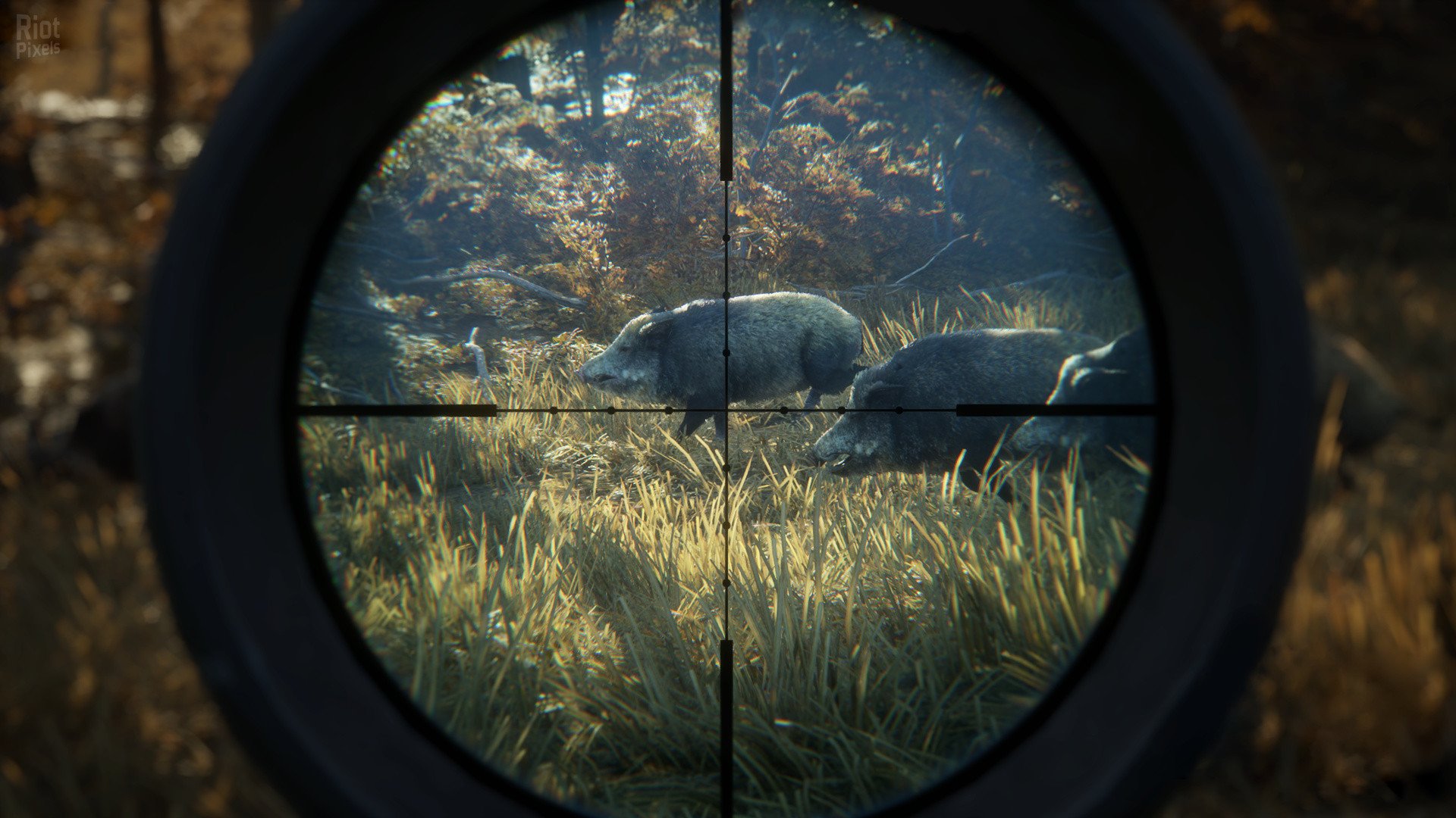 [7]-theHunter: Call of the Wild – Complete Collection – v2891297 + 64 DLCs Download-HohohoGames