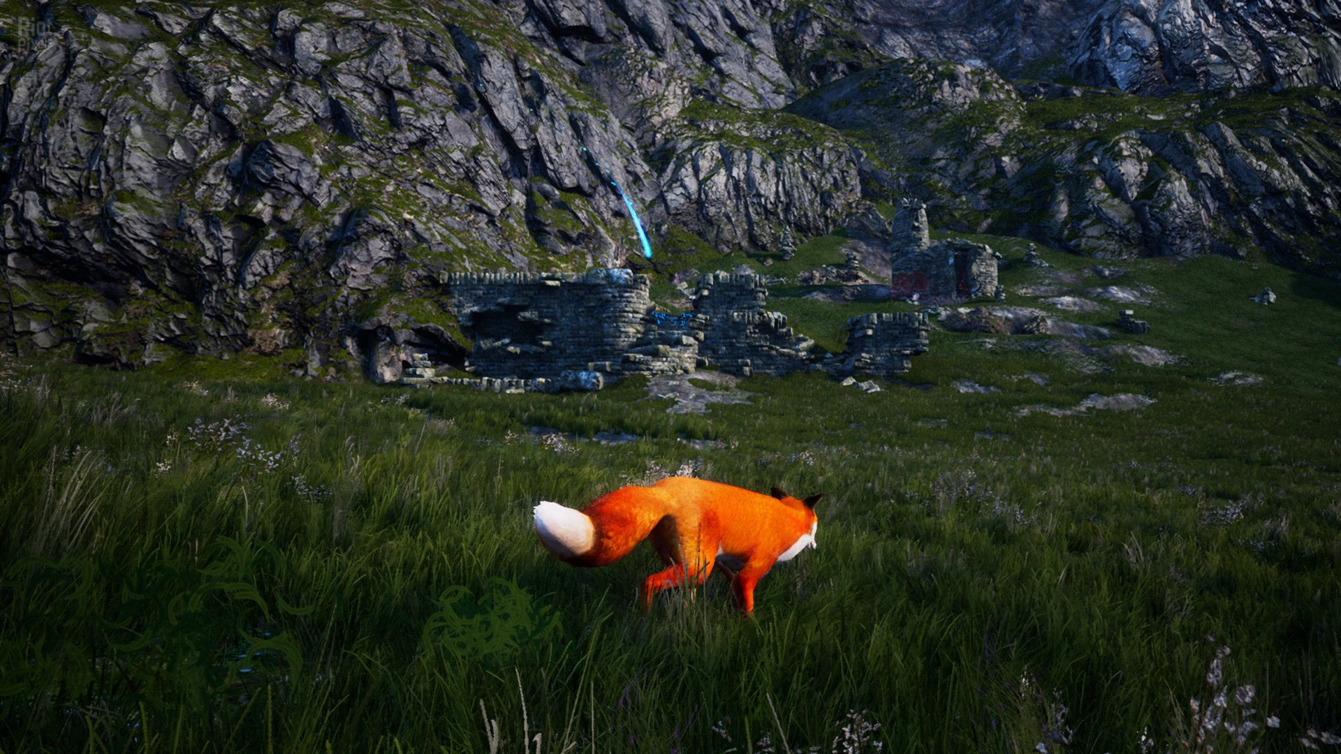 [8]-Spirit of the North – Build 6112756 (Enhanced Edition Update) Download-HohohoGames