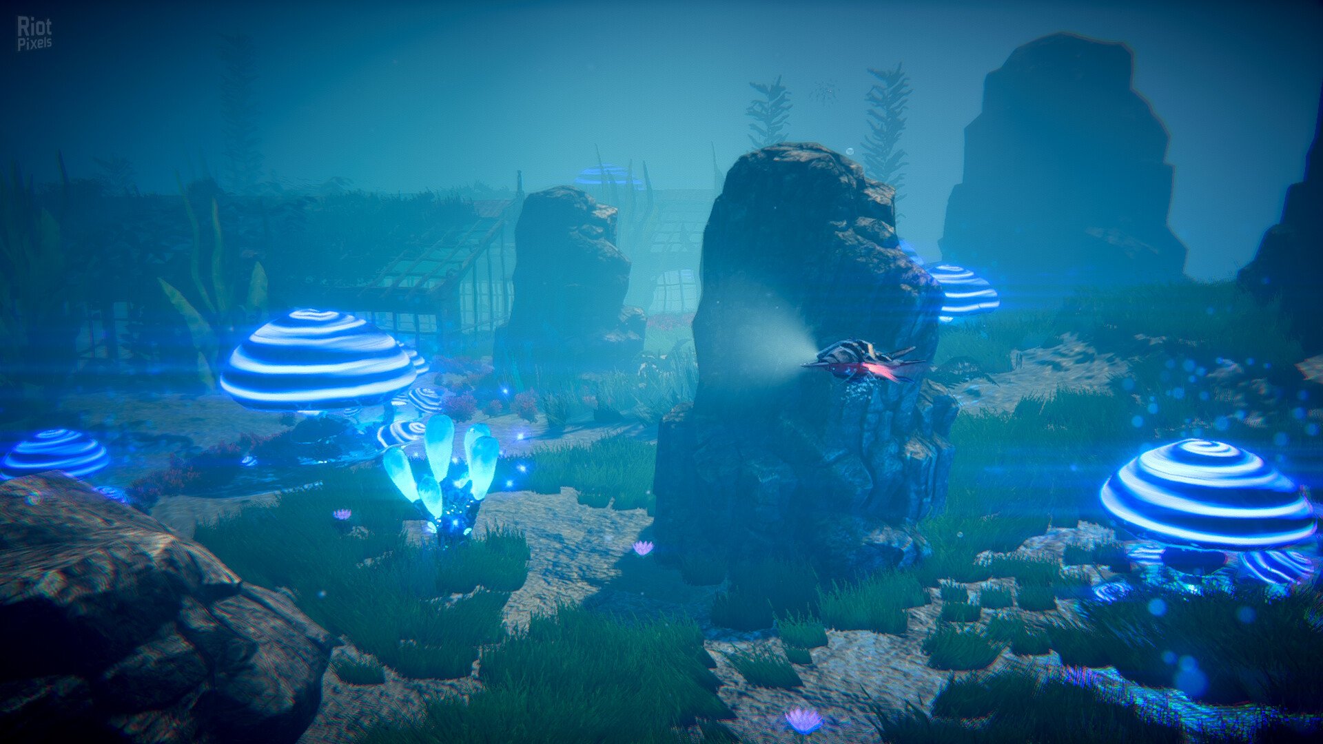 [11]-Stardiver Download-HohohoGames