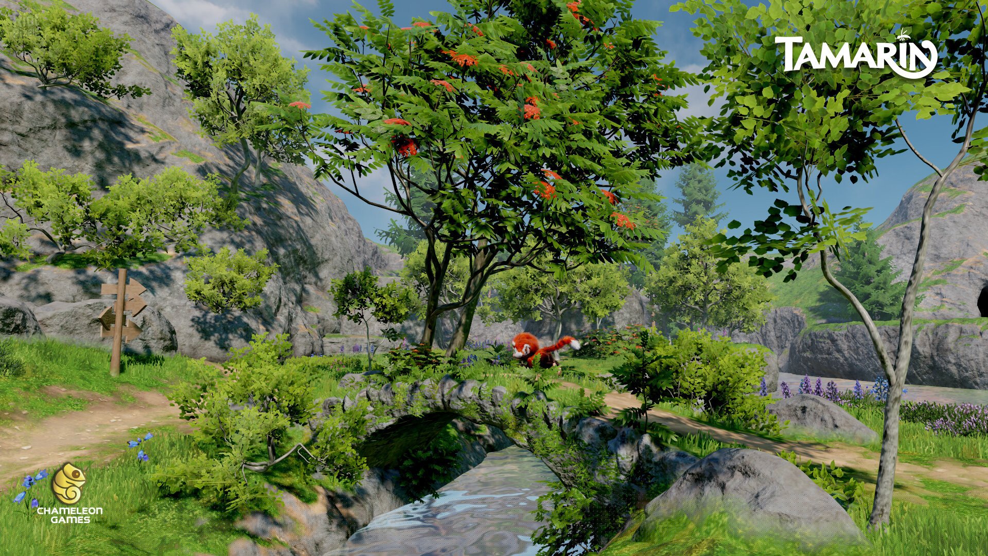 [12]-Tamarin Download-HohohoGames
