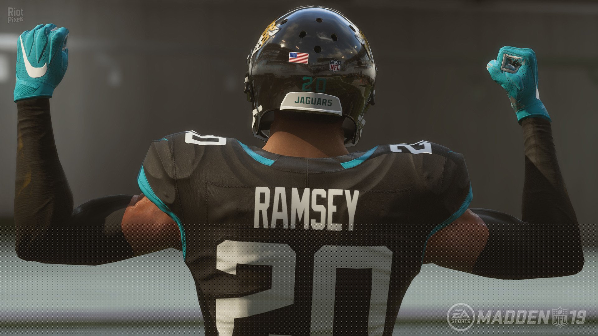 [15]-Madden NFL 19: Hall of Fame Edition Download-HohohoGames
