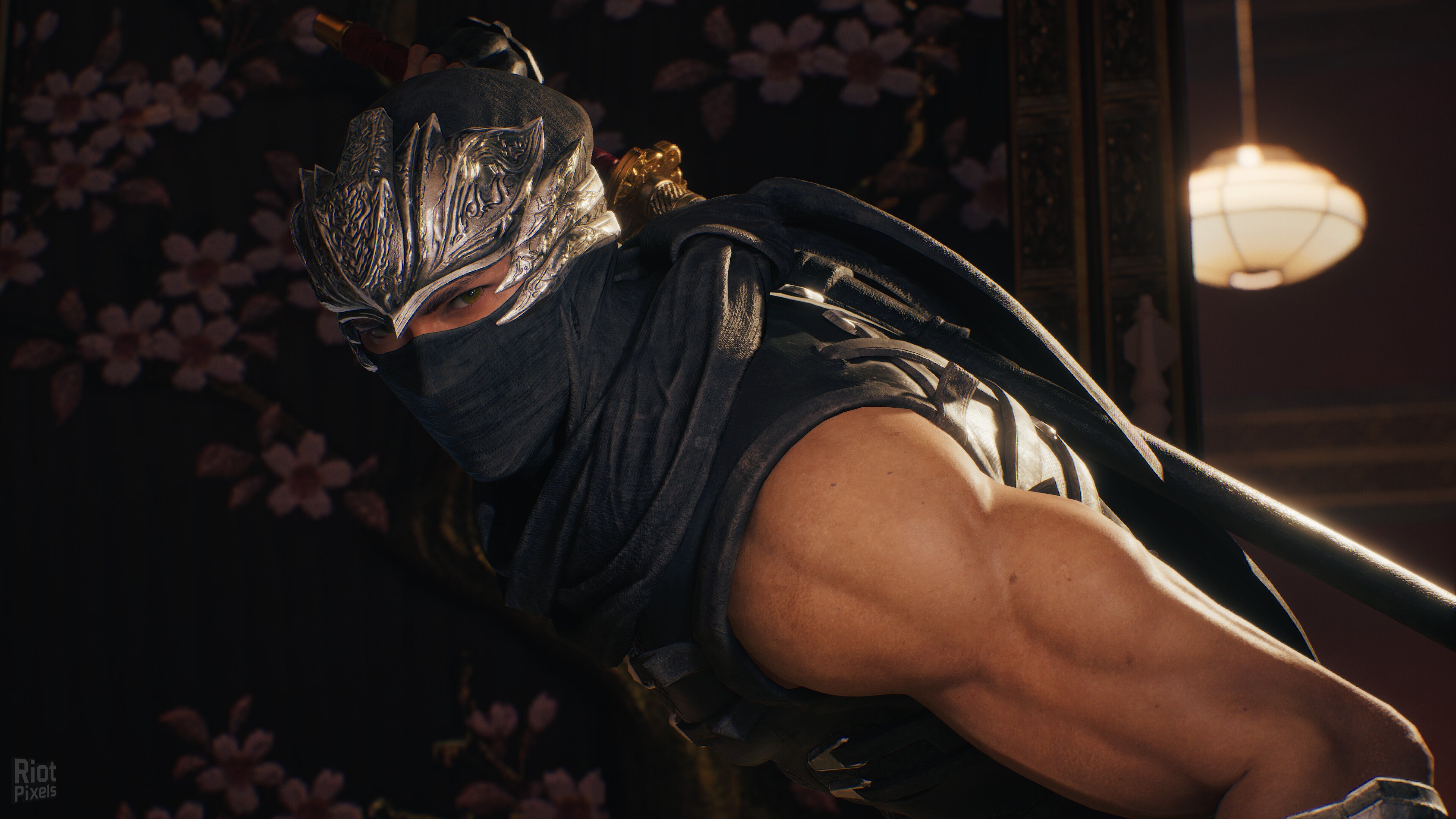 [4]-NINJA GAIDEN 2 Black, v1.0.5.0 Download-HohohoGames
