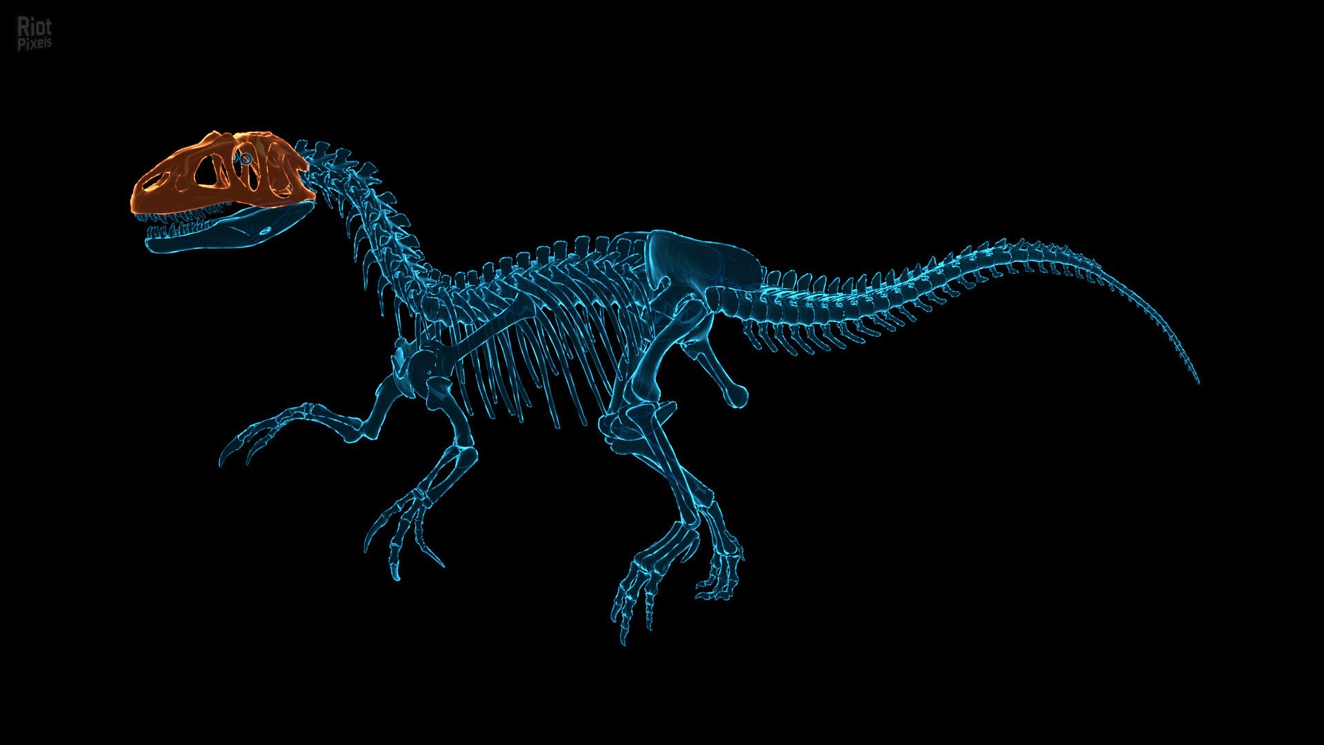 [13]-Dinosaur Fossil Hunter – v2.0.21 Download-HohohoGames