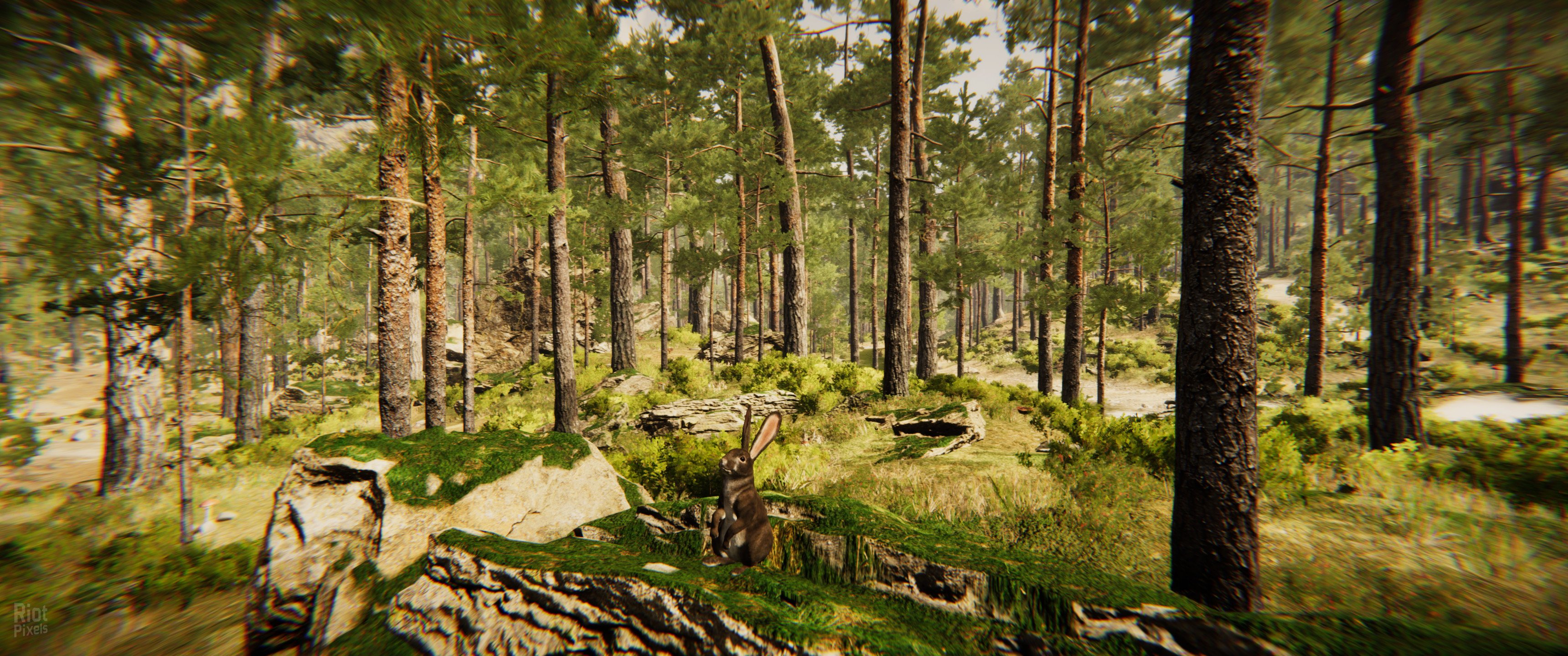 [12]-Animal Simulator Download-HohohoGames