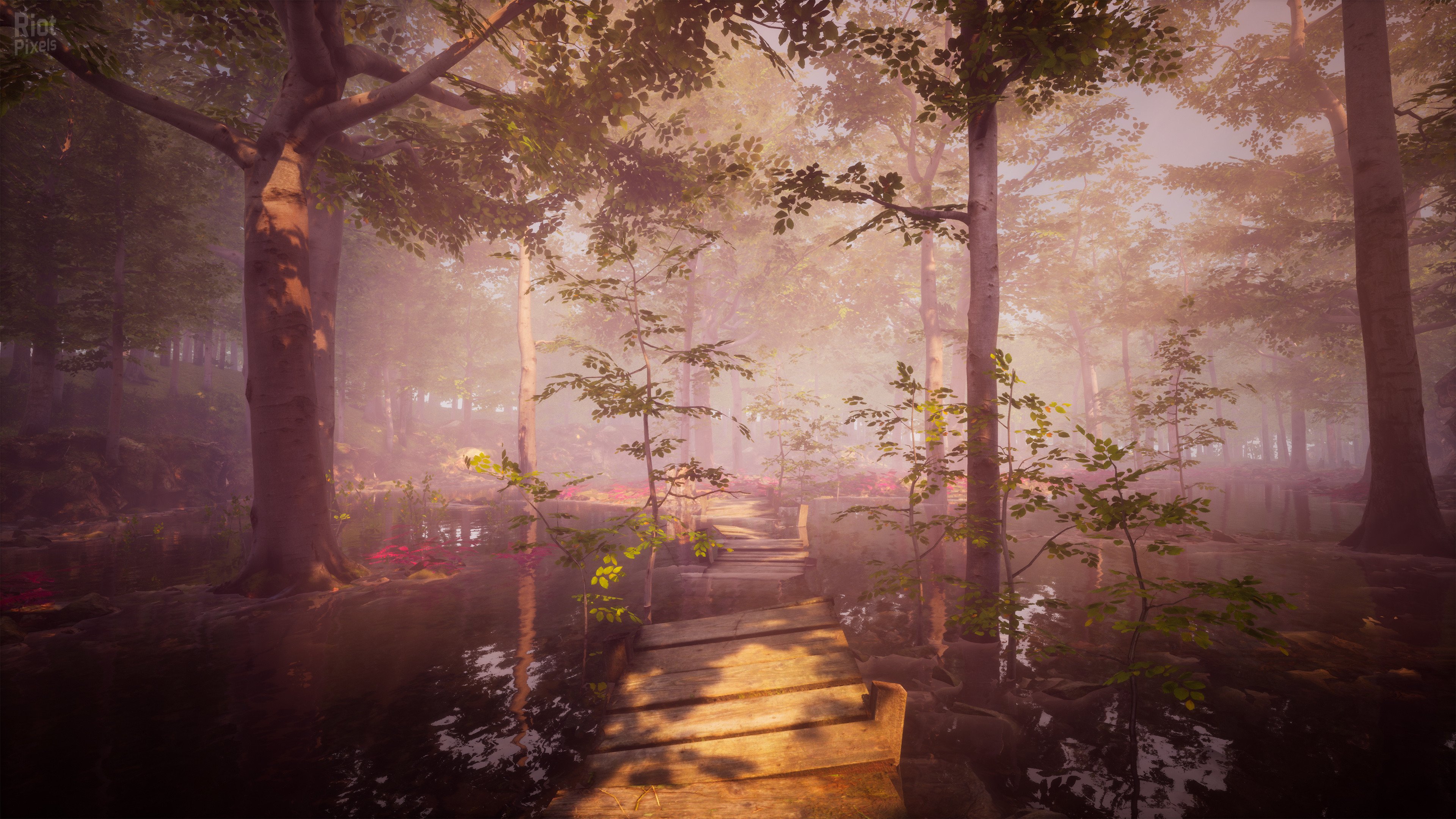 [5]-The Fabled Woods Download-HohohoGames